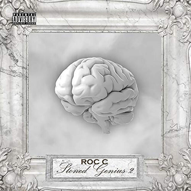 Релиз Stoned Genius 2