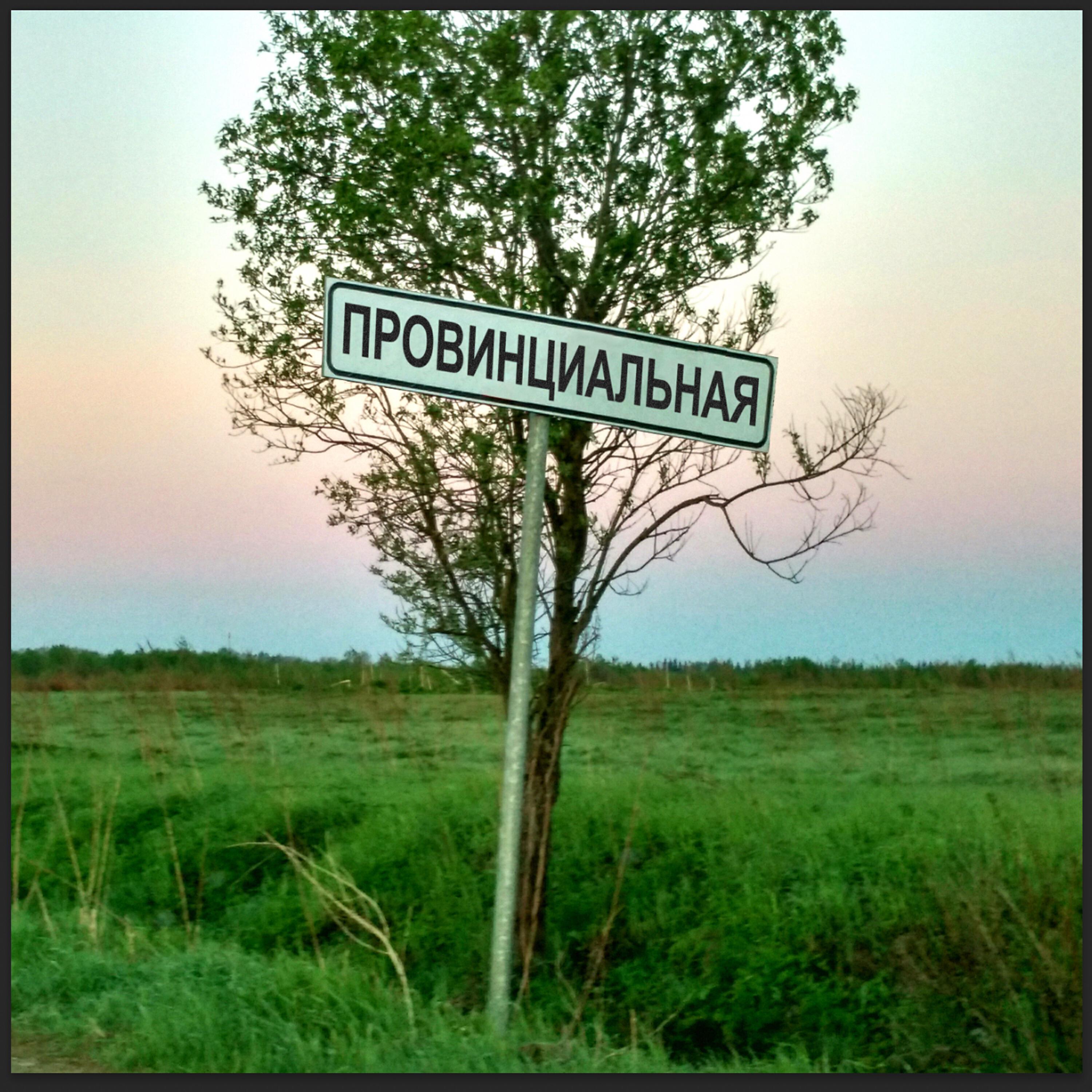 Релиз Провинциальная