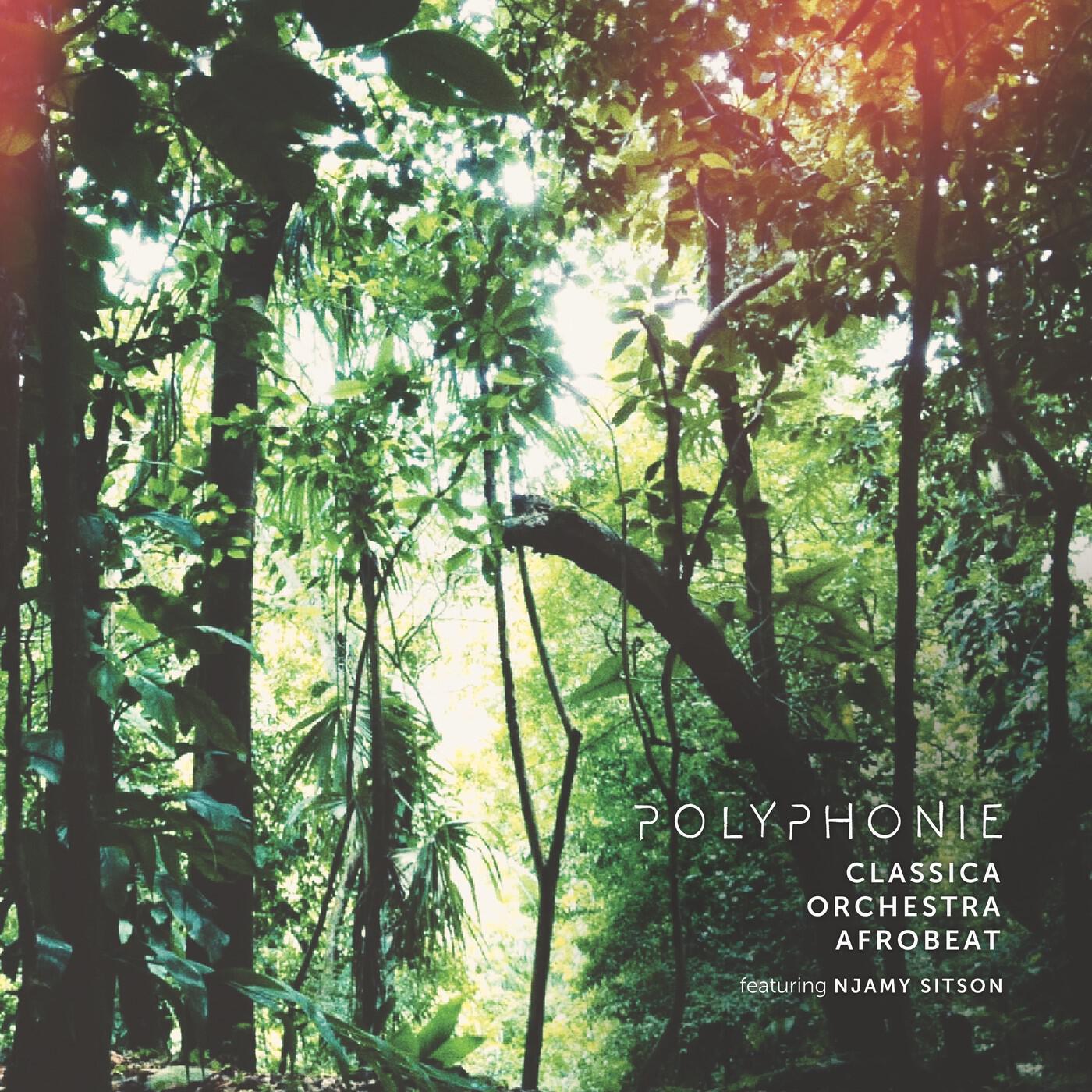 Релиз Polyphonie