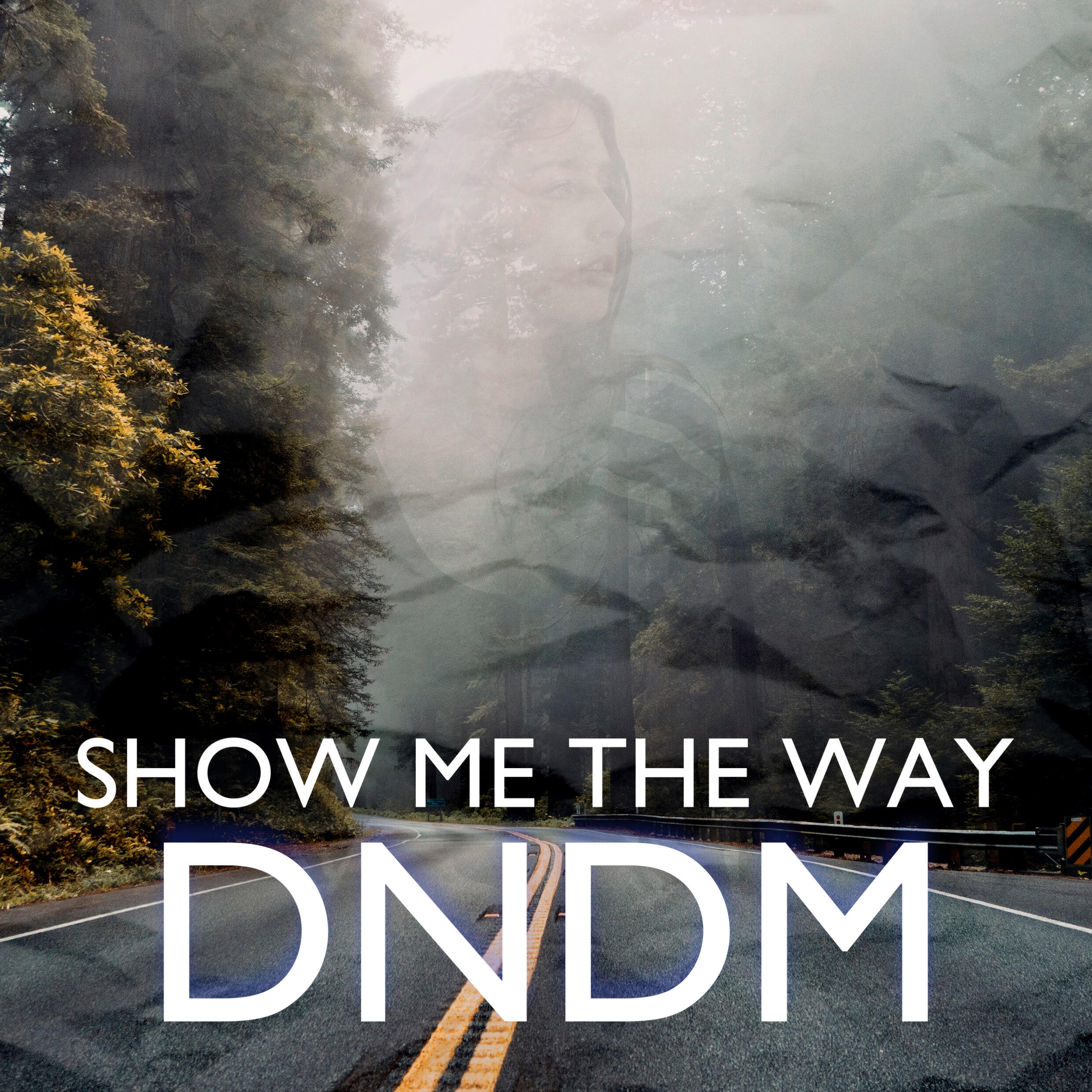 Релиз Show Me the Way
