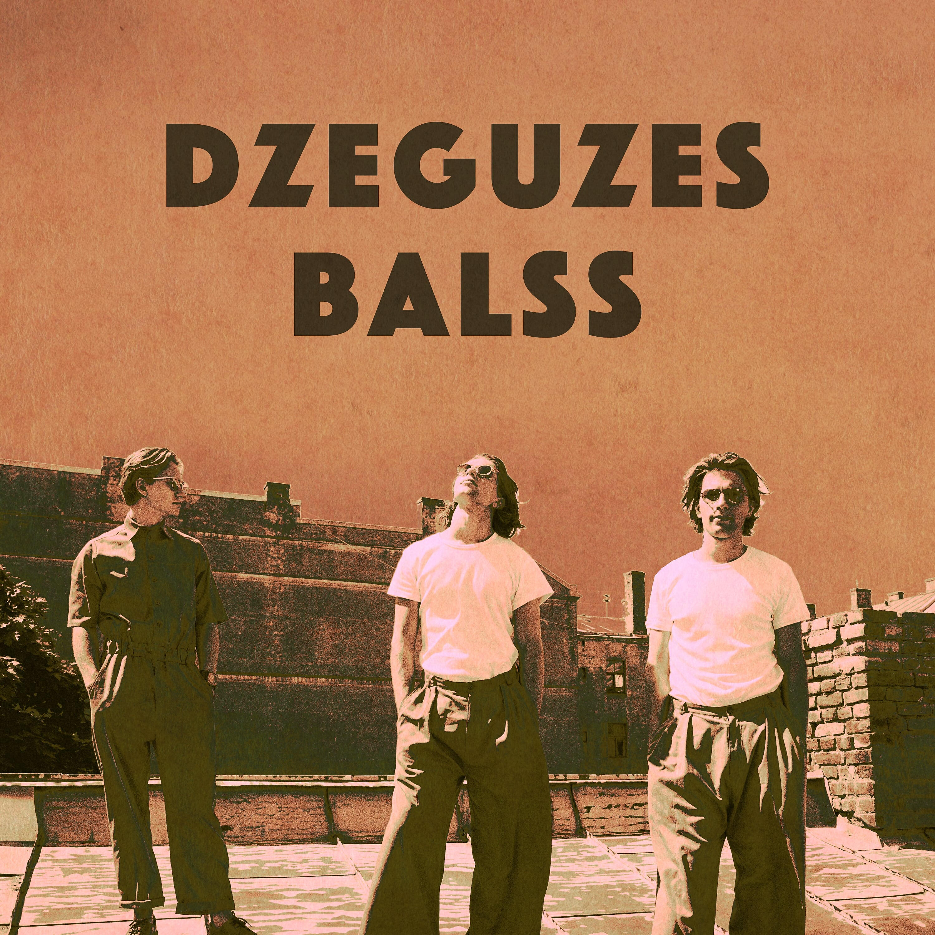 Релиз Dzeguzes balss