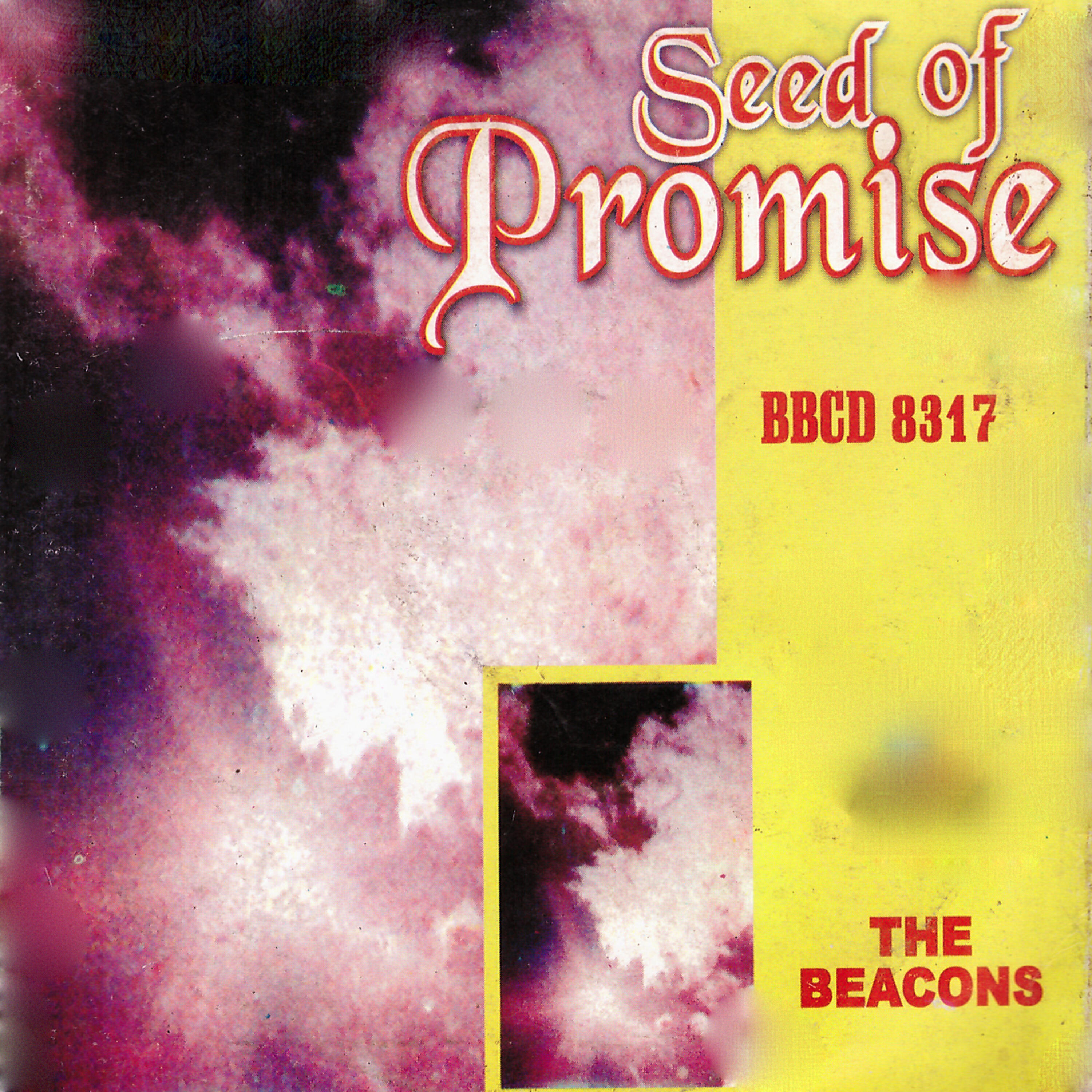 The Beacons