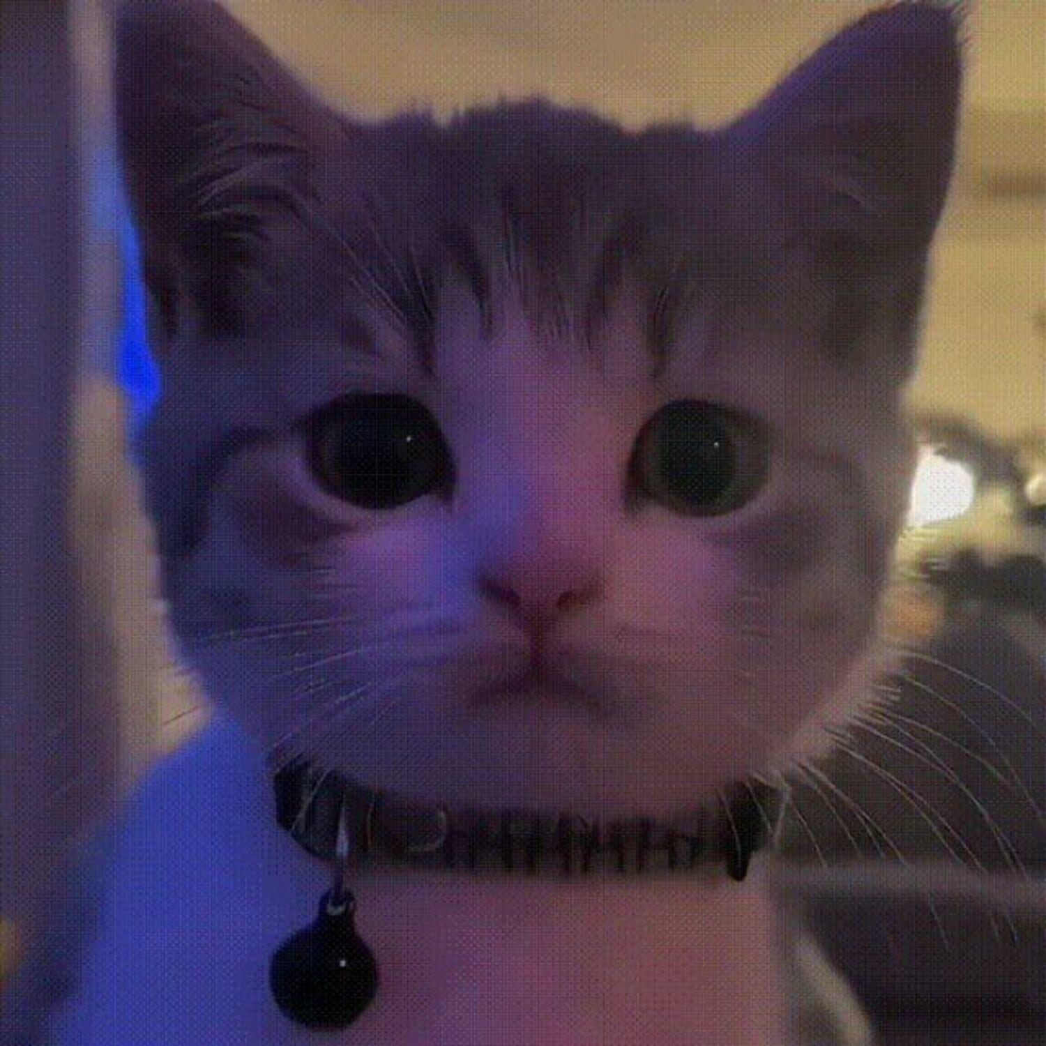 Релиз Hug Me