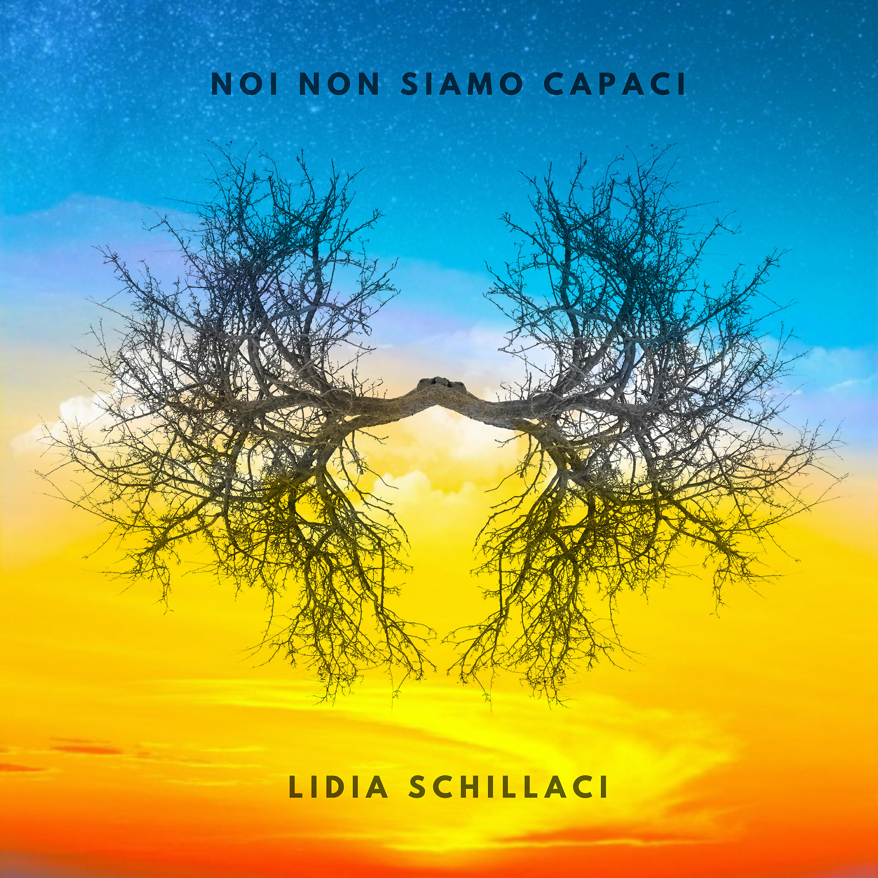 Релиз Noi non siamo Capaci