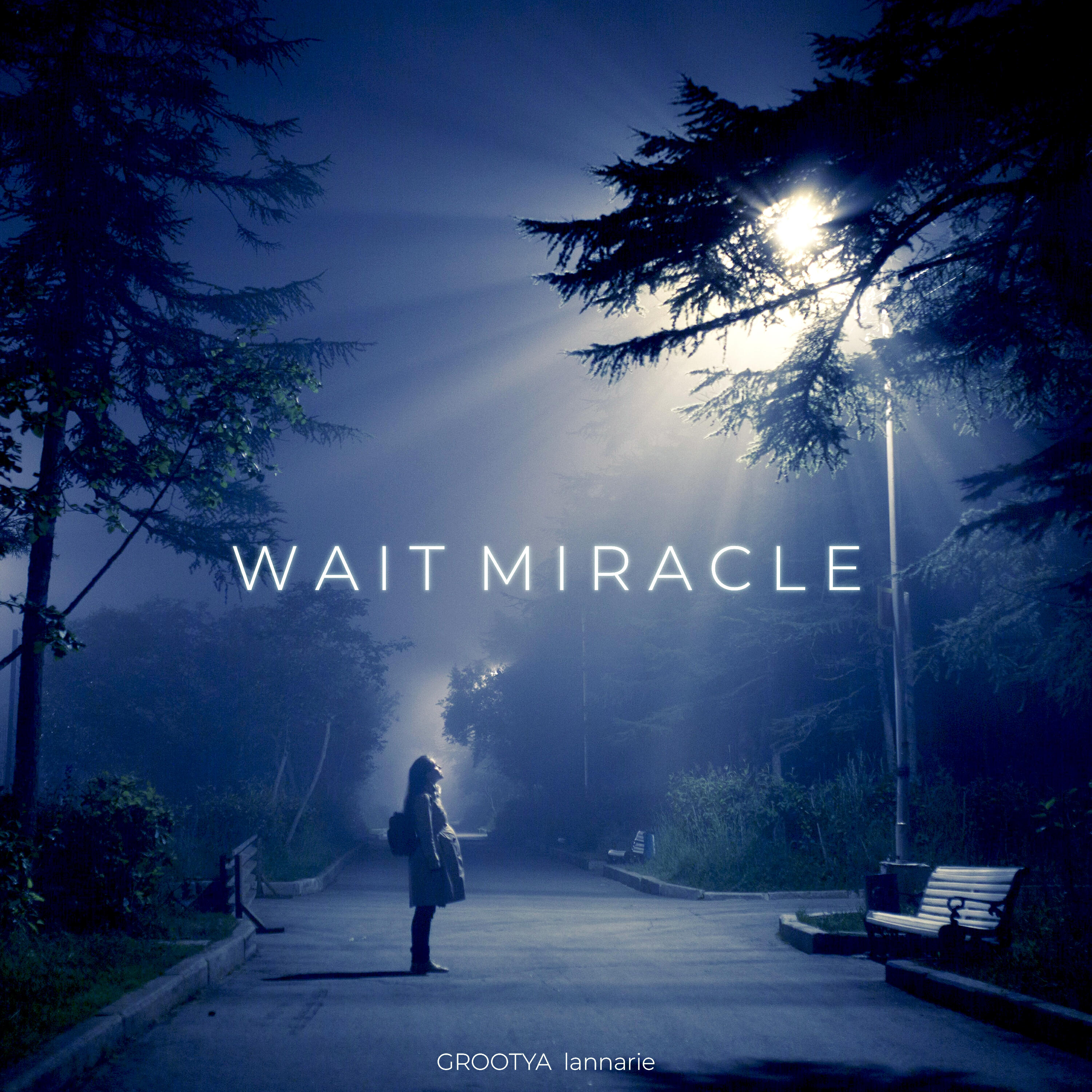 Релиз Wait Miracle