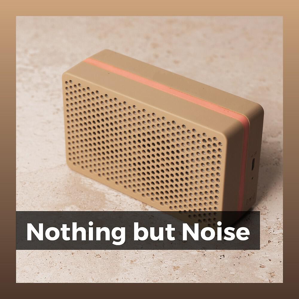 Релиз Nothing but Noise