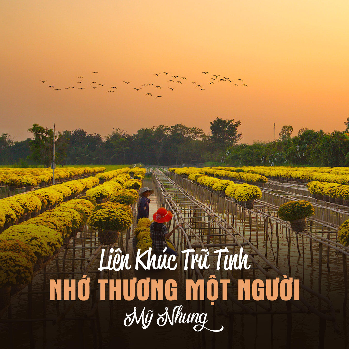 Релиз Liên Khúc Trữ Tình/Nhớ Thương Một Người