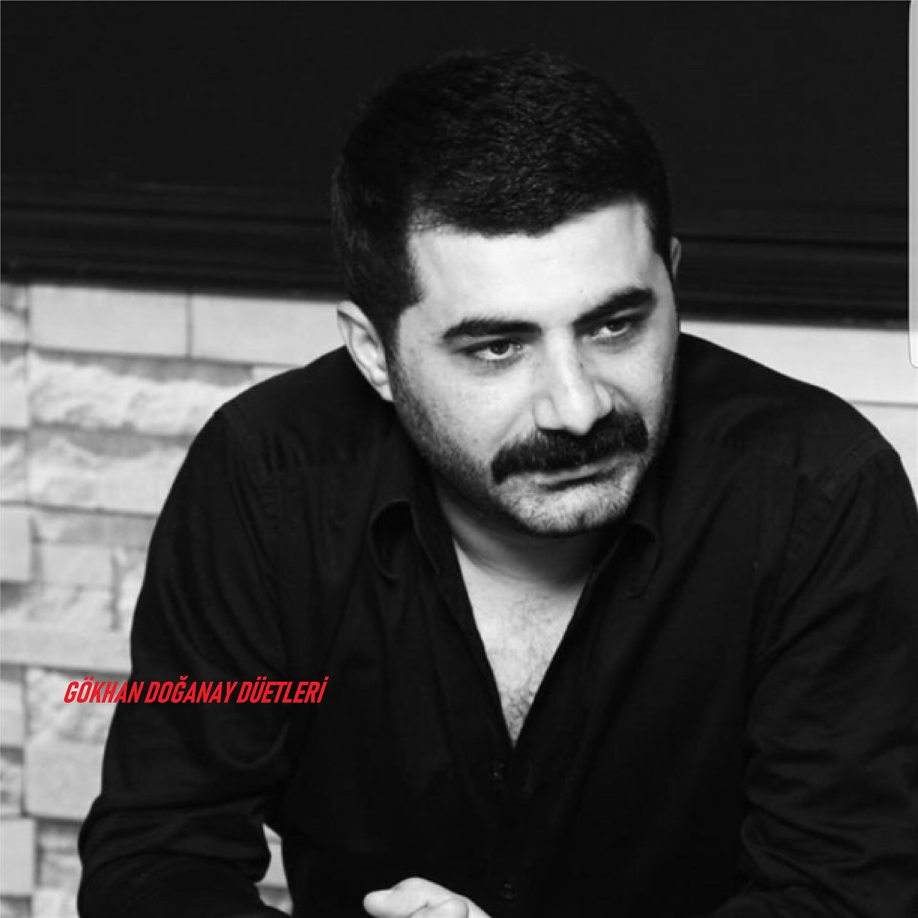 Релиз Gökhan Doğanay Düetleri