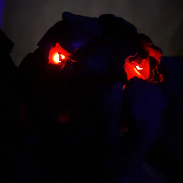 Релиз Creatures of the Night