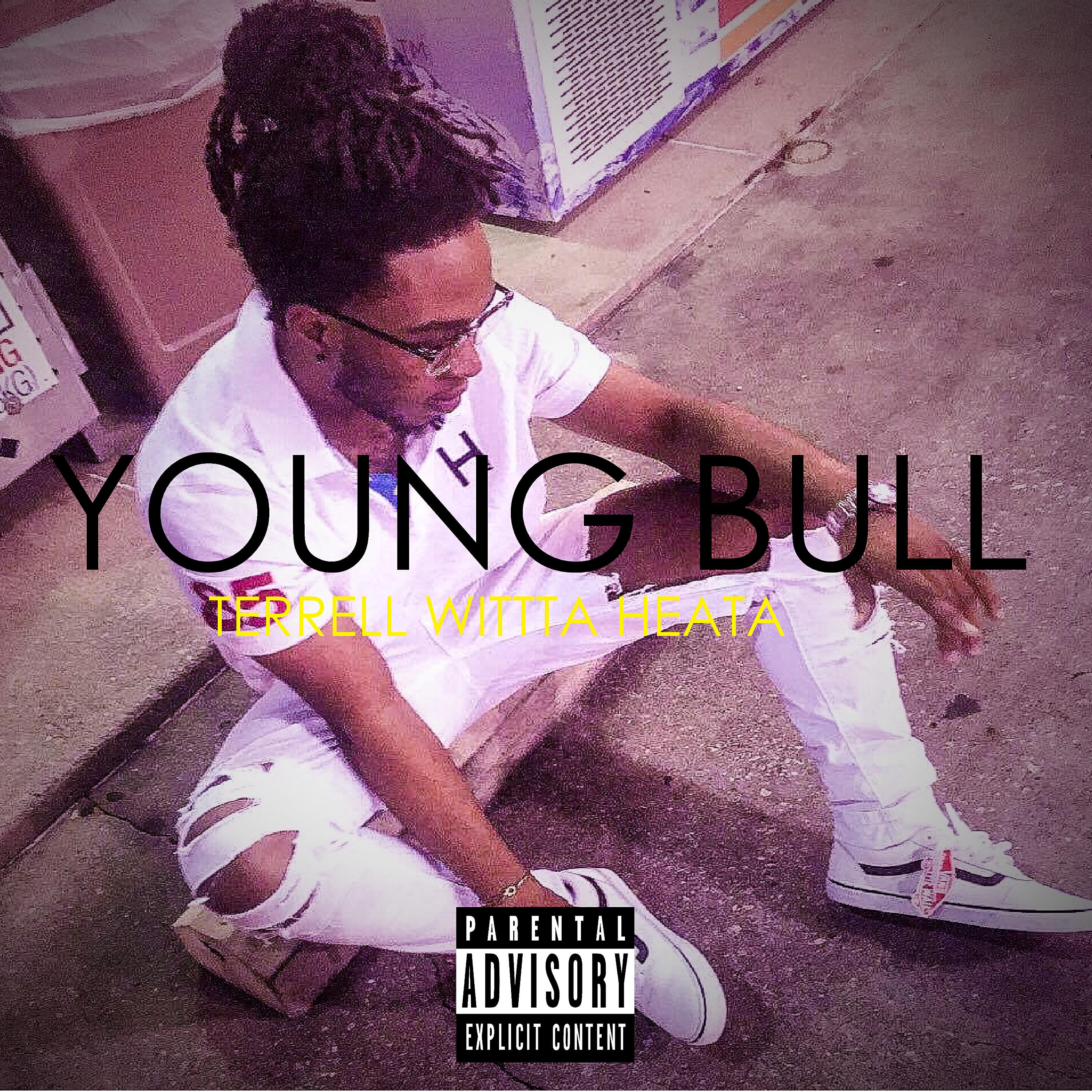 Релиз Young Bull