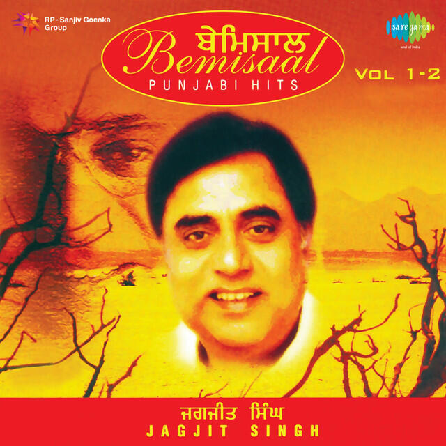 Minoo Purushottam