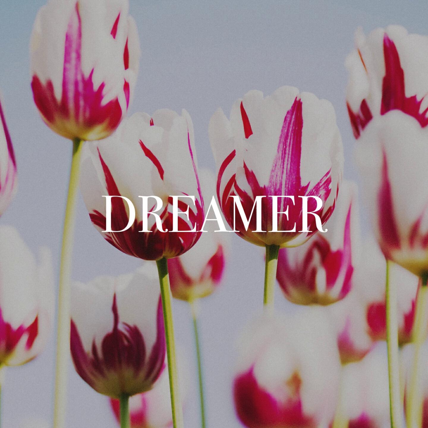 Релиз Dreamer