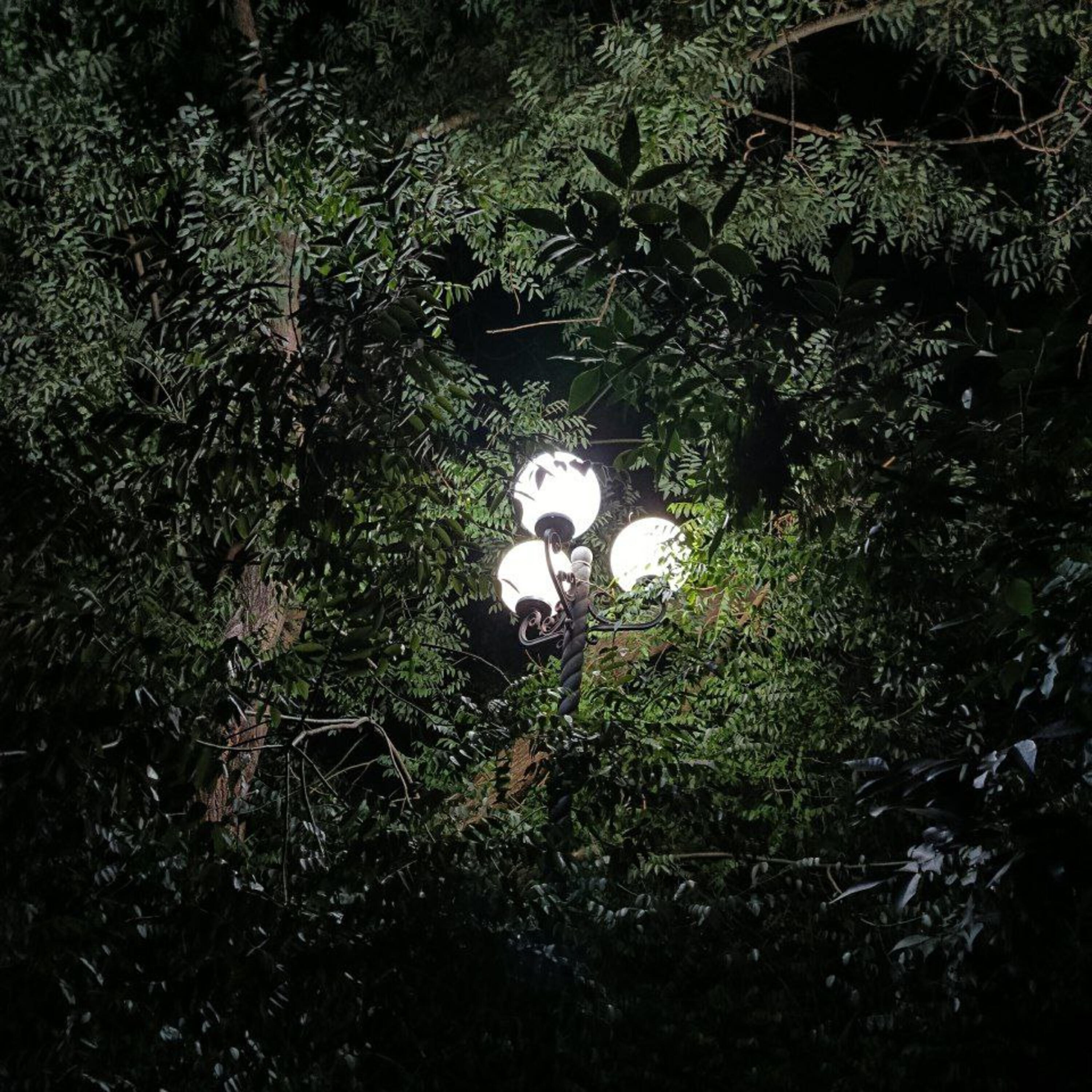 Релиз NIGHT CALL