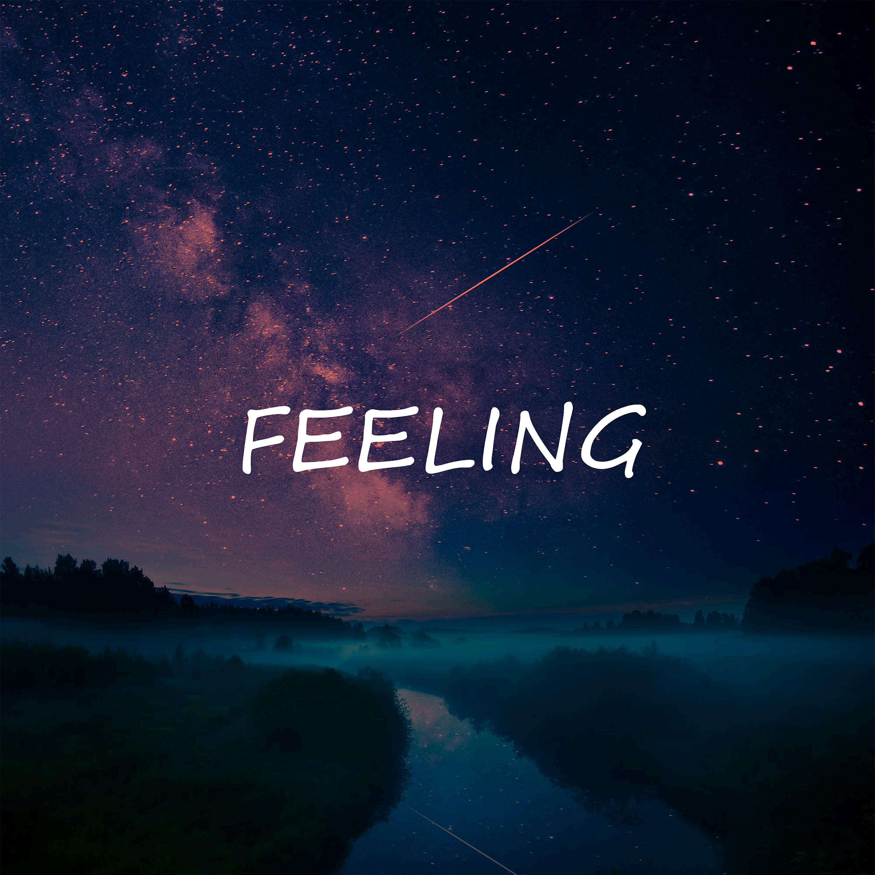 Постер альбома Feeling