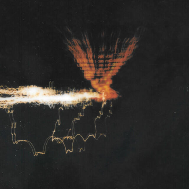 Релиз Cold Fish