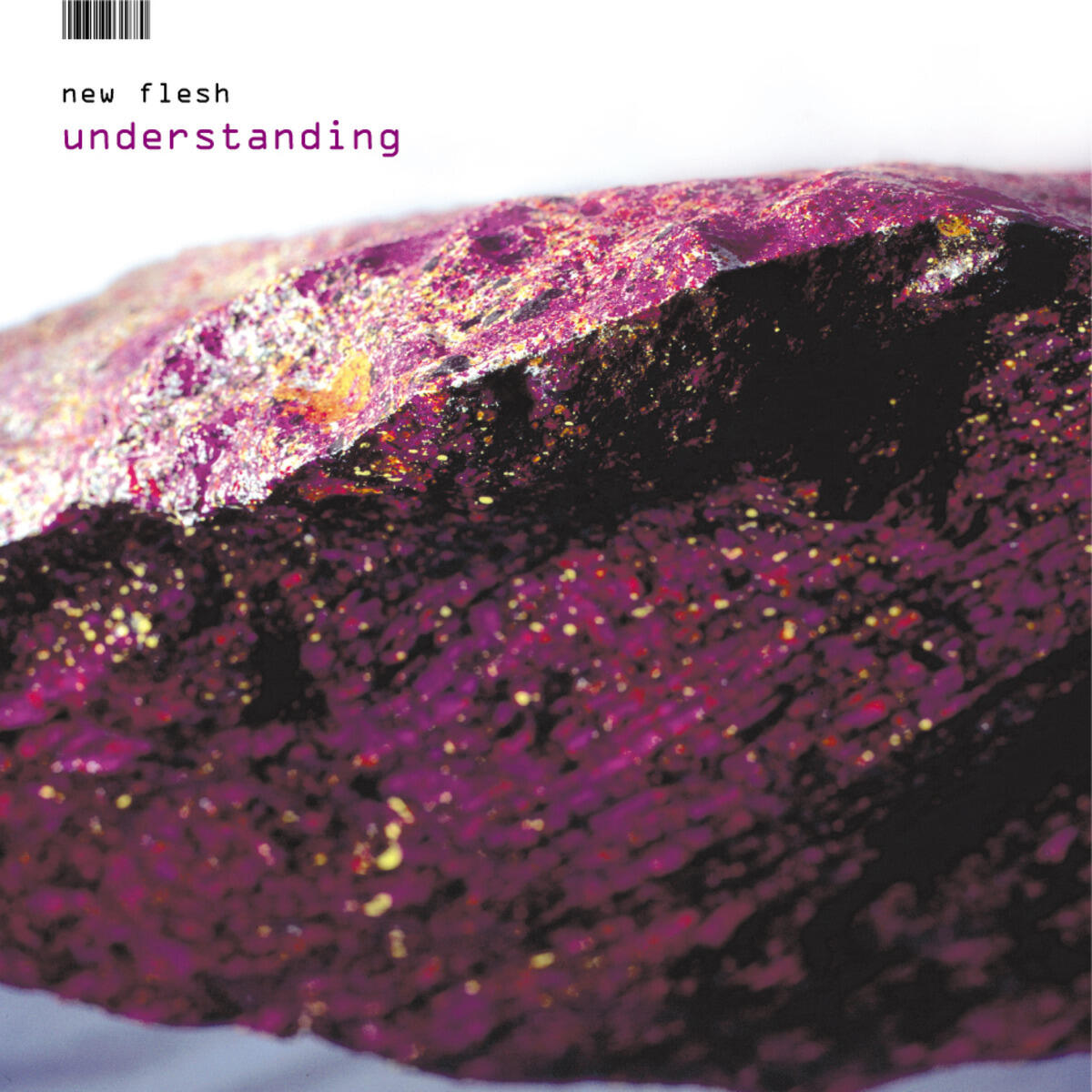 Релиз Understanding