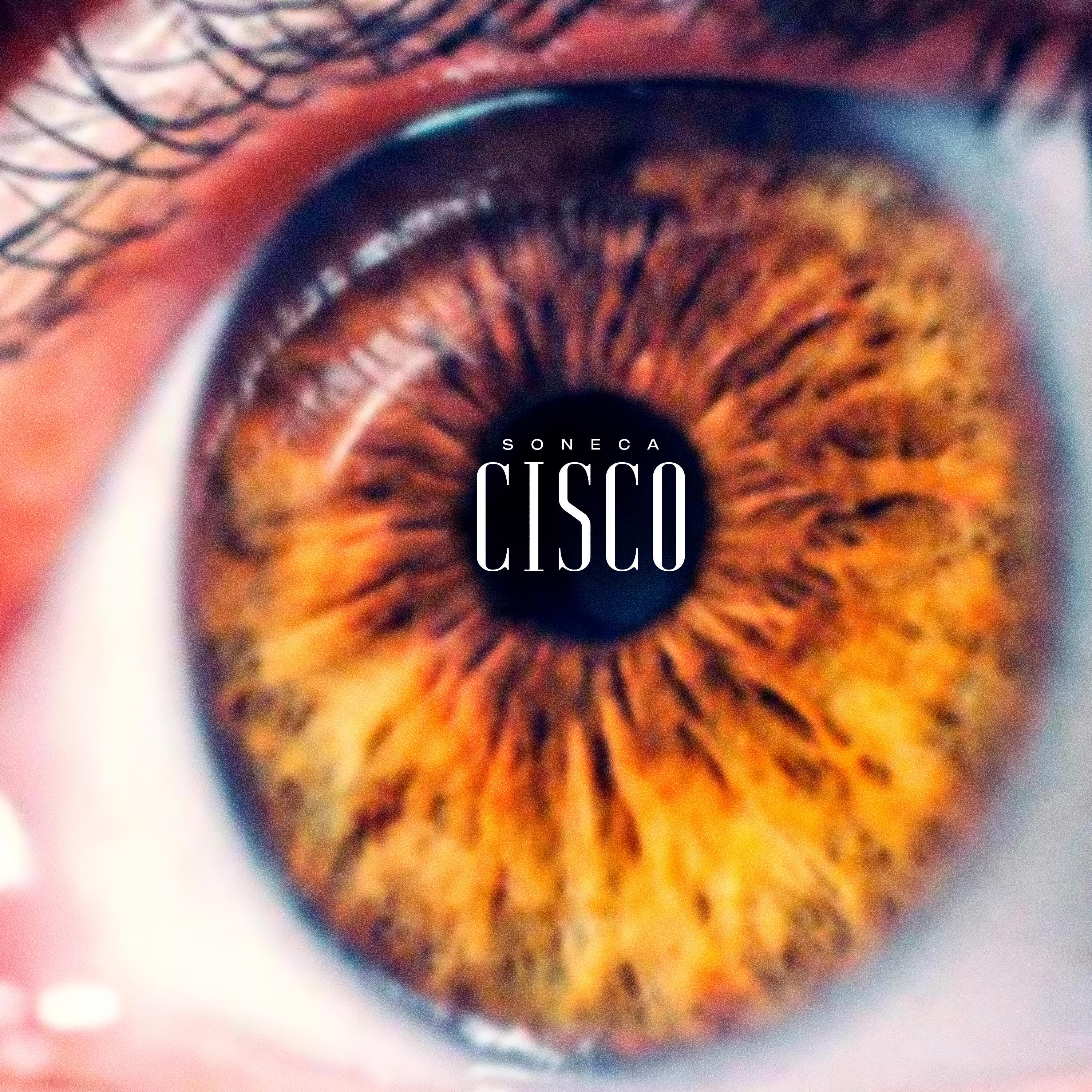Скачать песню Soneca - Cisco бесплатно в MP3 для Android и iOS