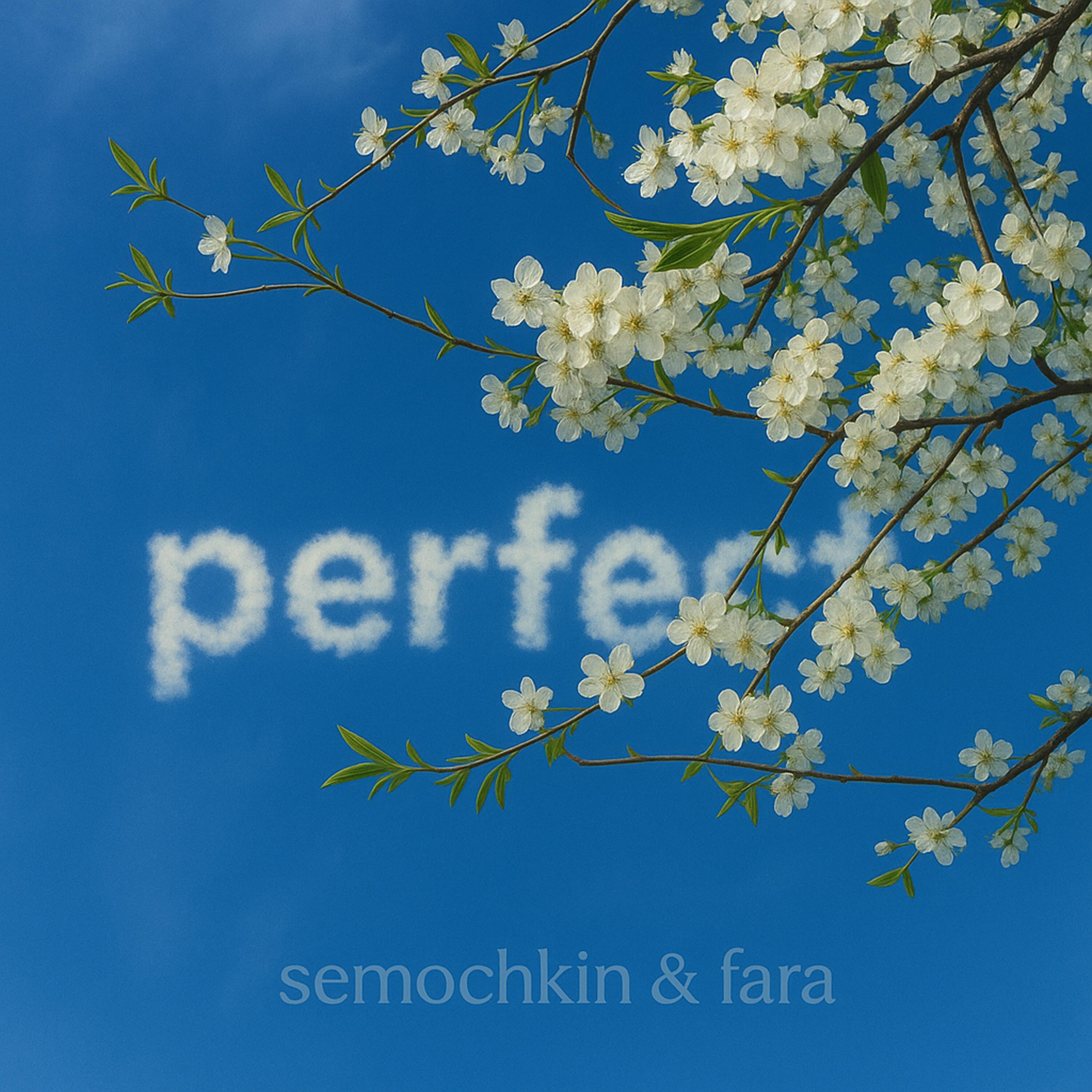 Релиз perfect