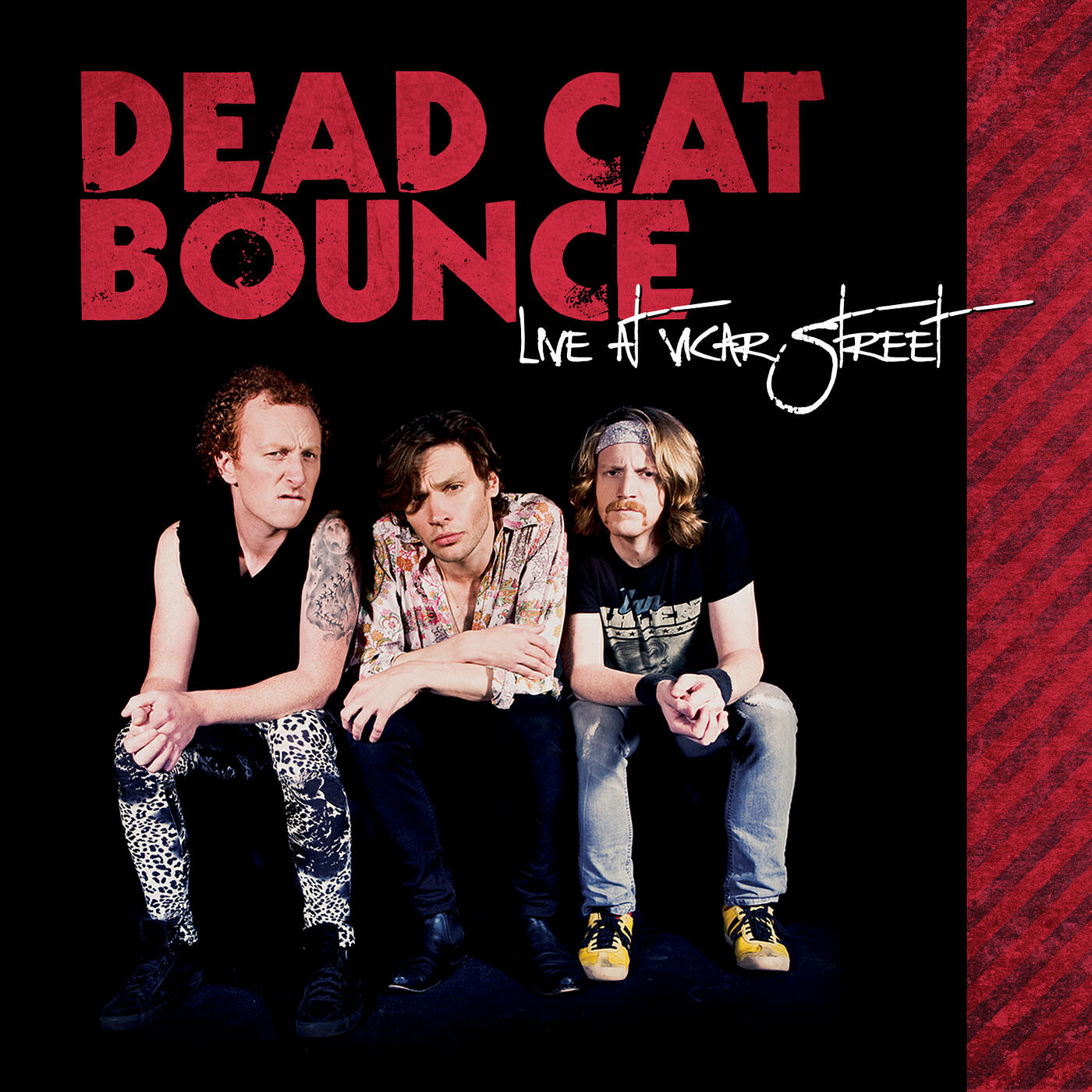 Релиз Live at Vicar Street