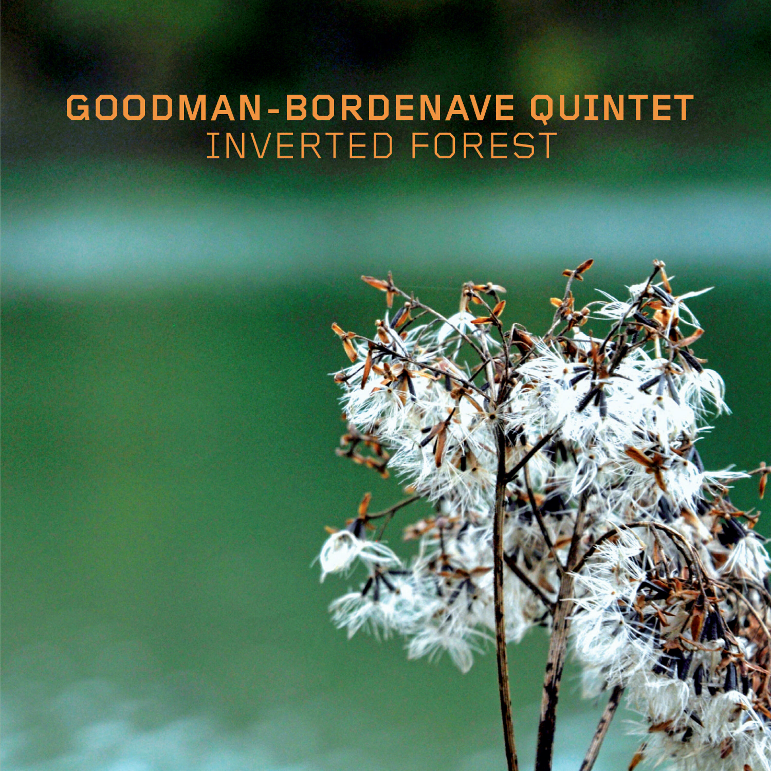 Релиз Inverted Forest