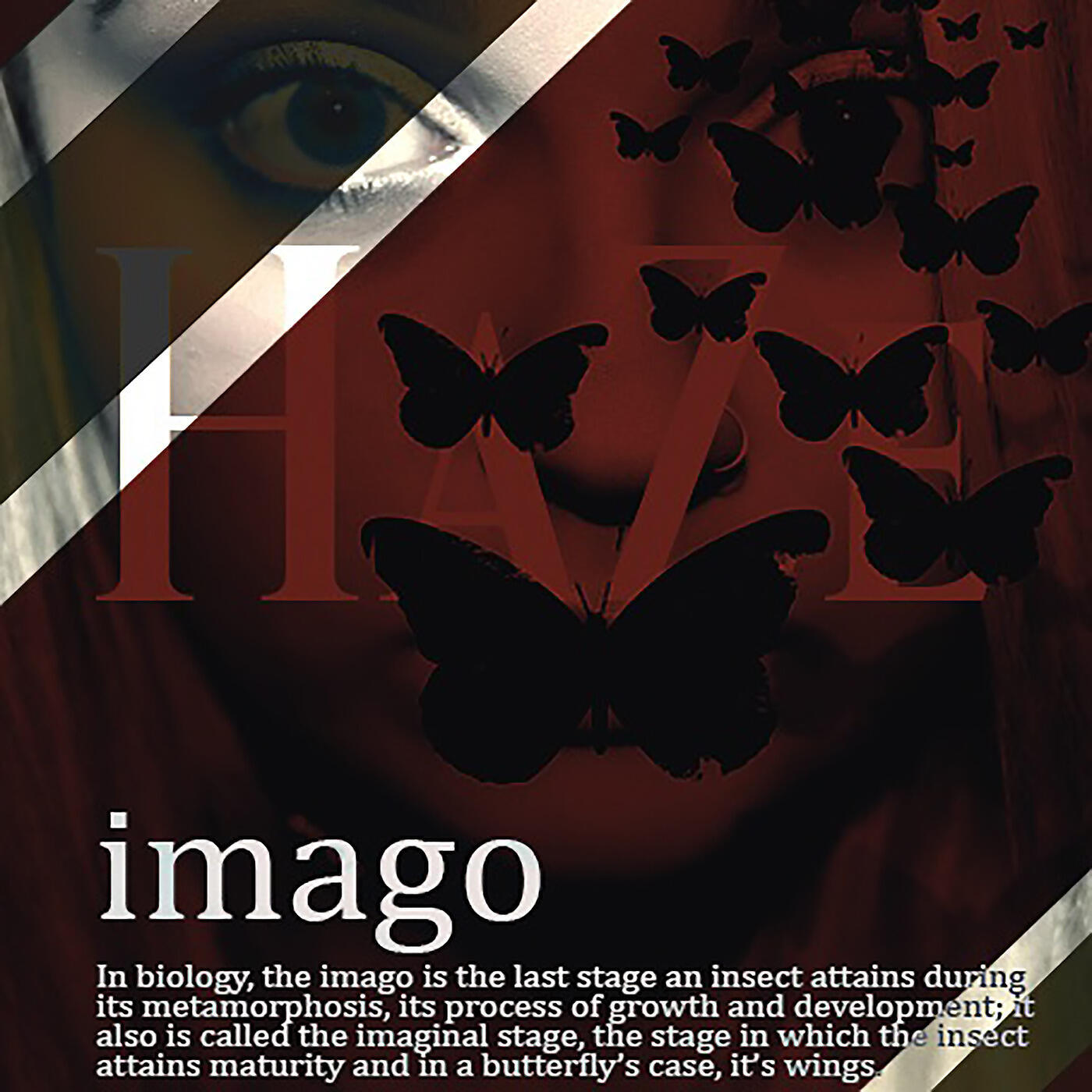 Релиз Imago