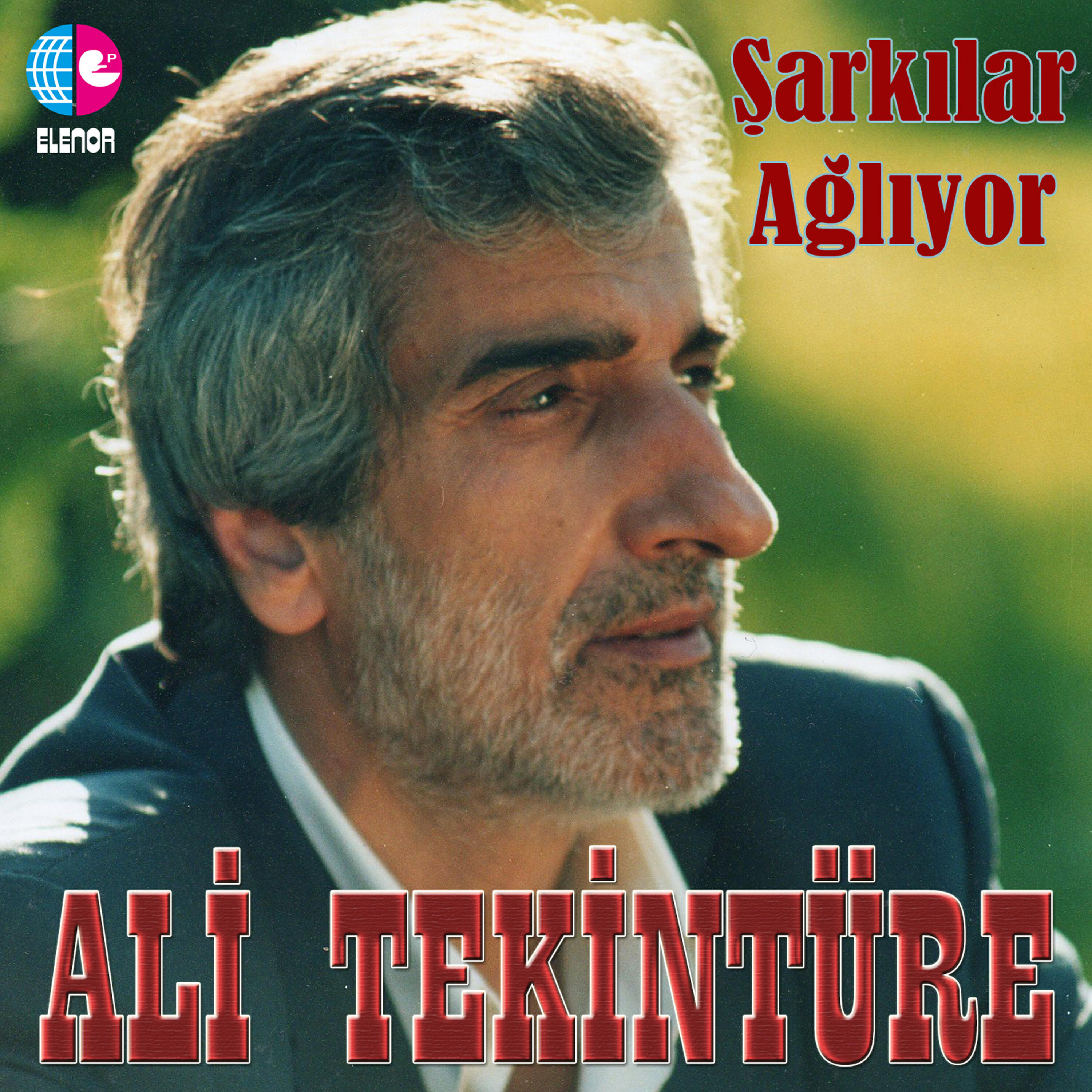 Постер альбома Şarkılar Ağlıyor