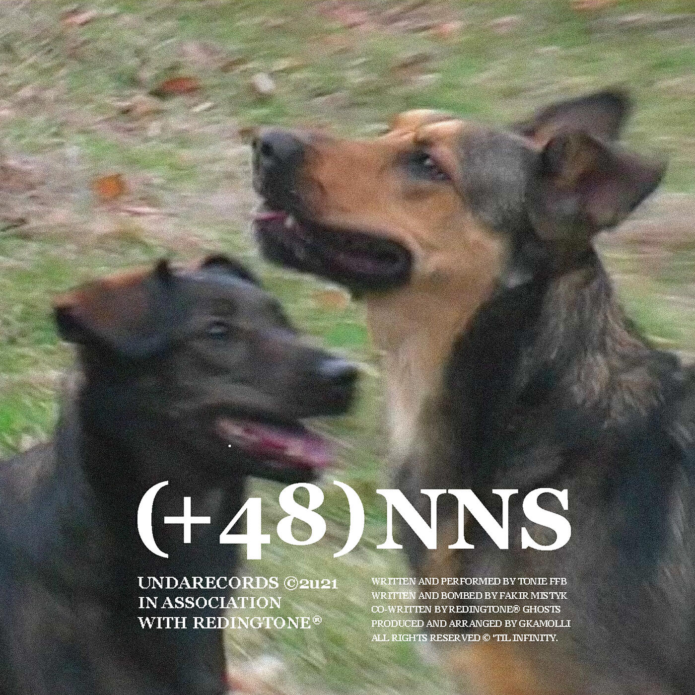 Релиз (+48) NIC NA SIŁĘ