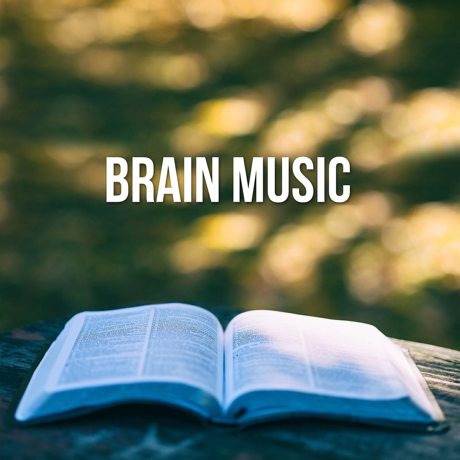 Релиз Brain Music – Nature Sounds for Inner Silent, Reading, Deep Focus