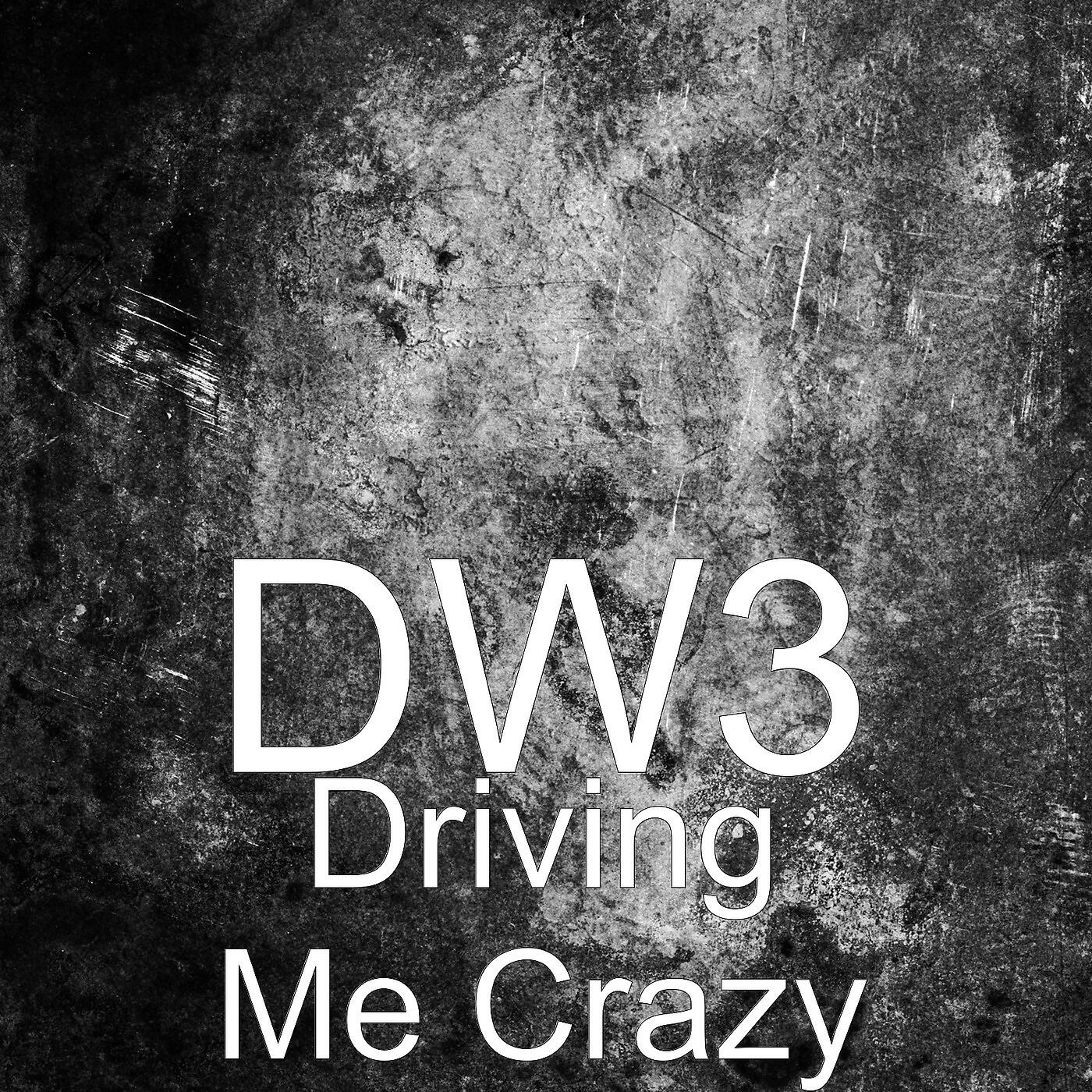 Постер альбома Driving Me Crazy