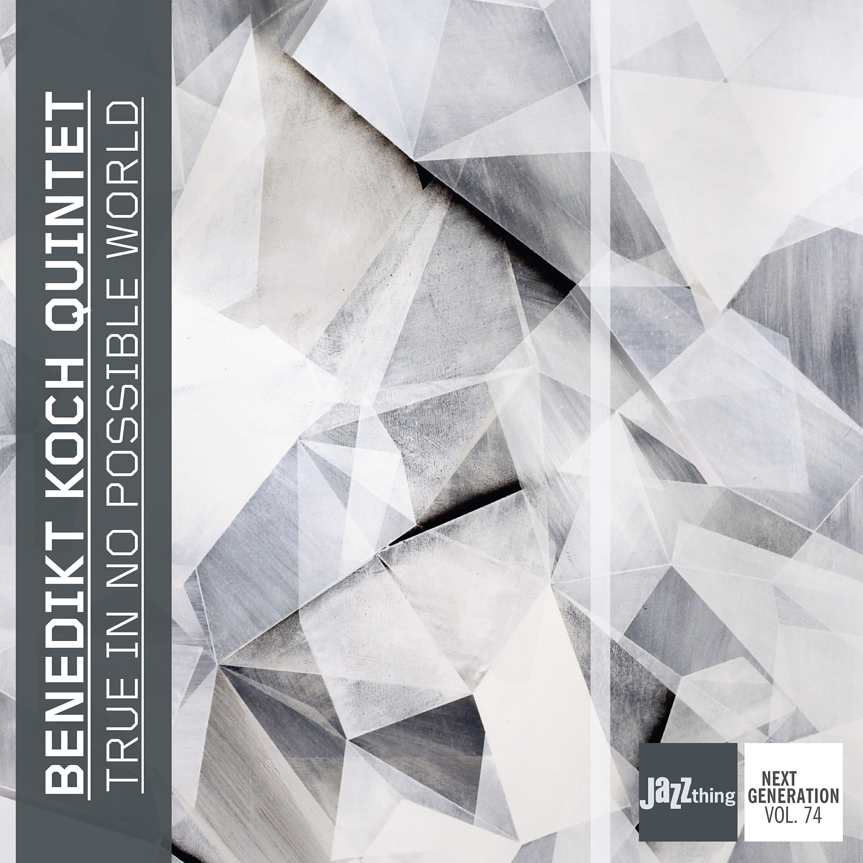 Релиз True in No Possible World (Jazz Thing Next Generation Vol. 74)