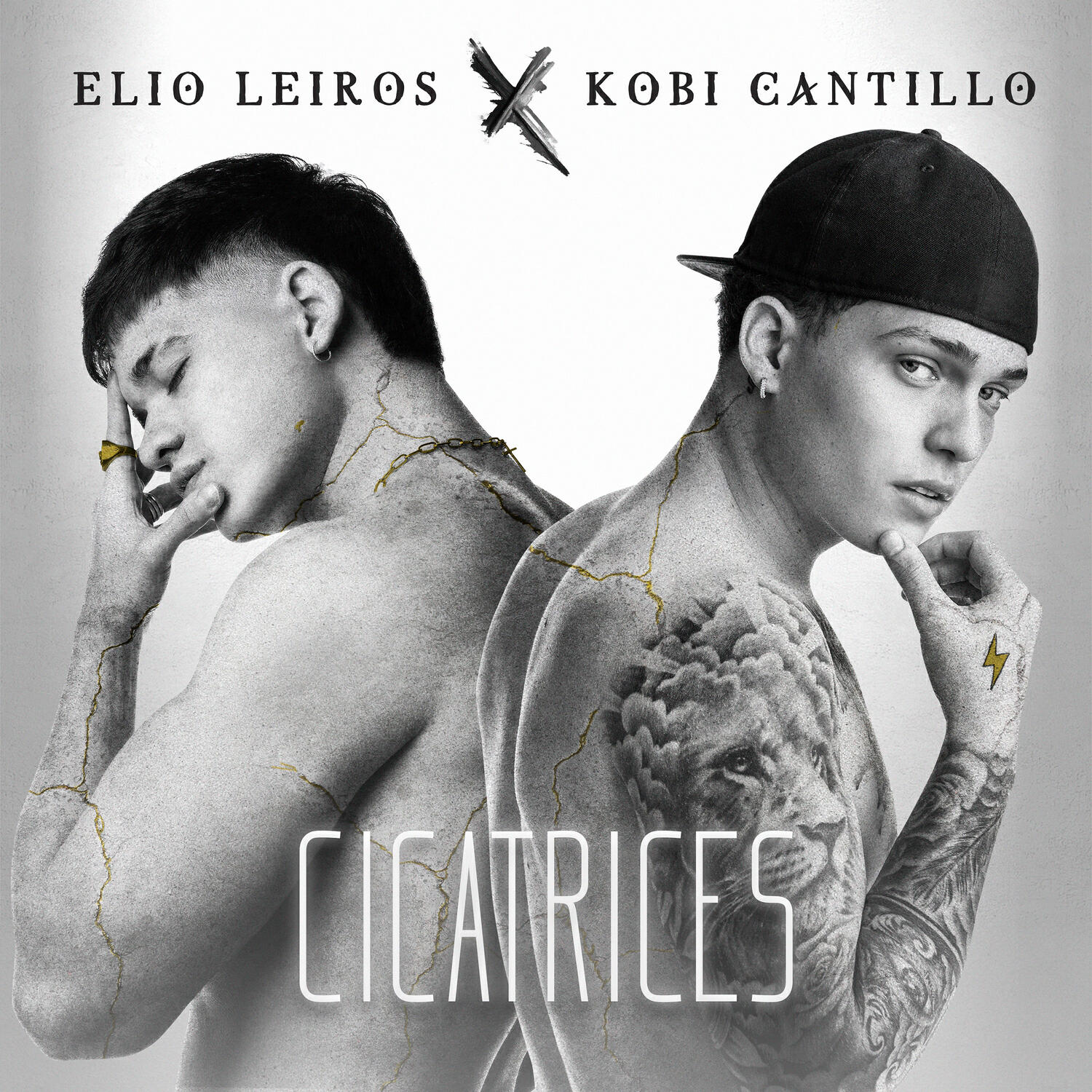 Релиз Cicatrices