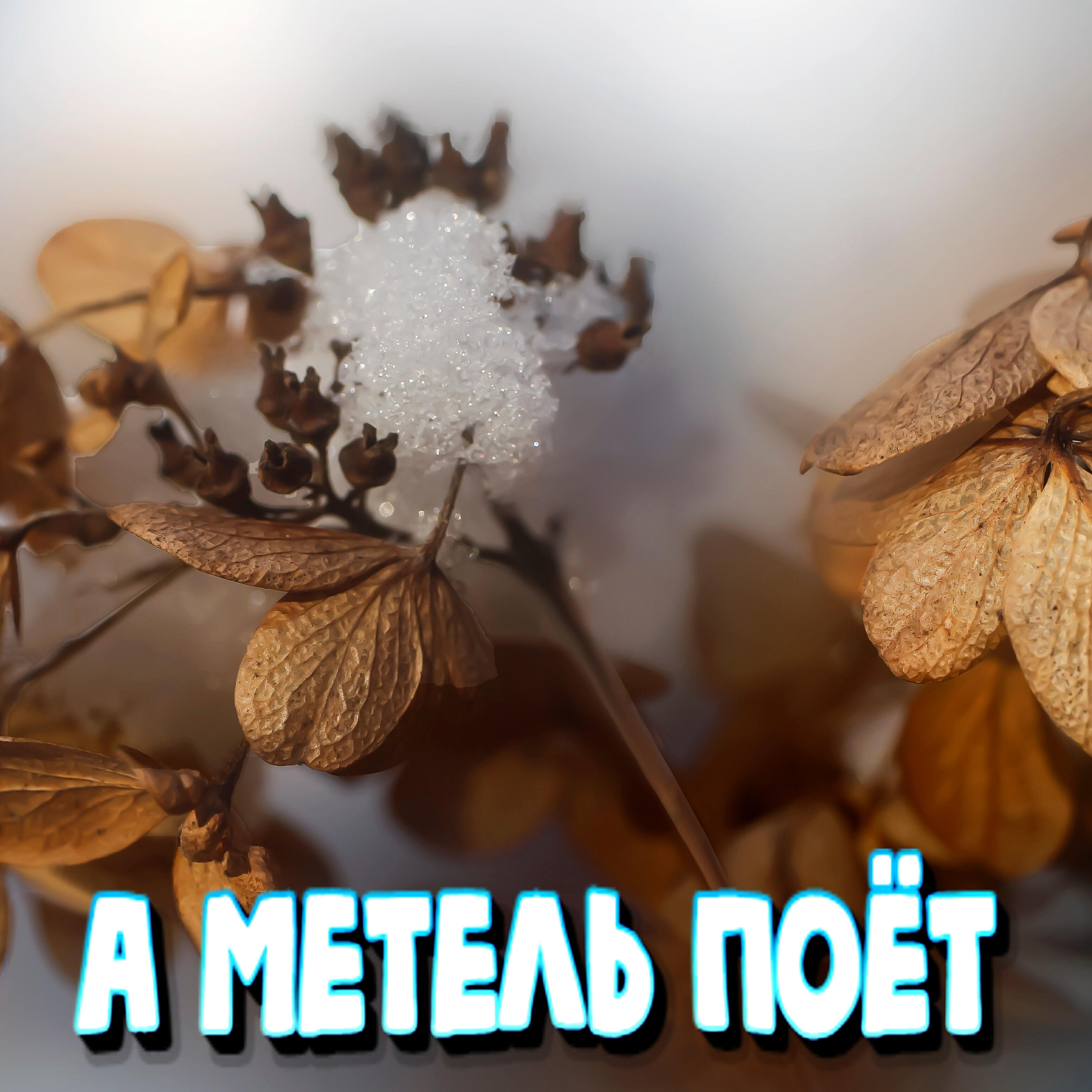 Релиз А метель поёт