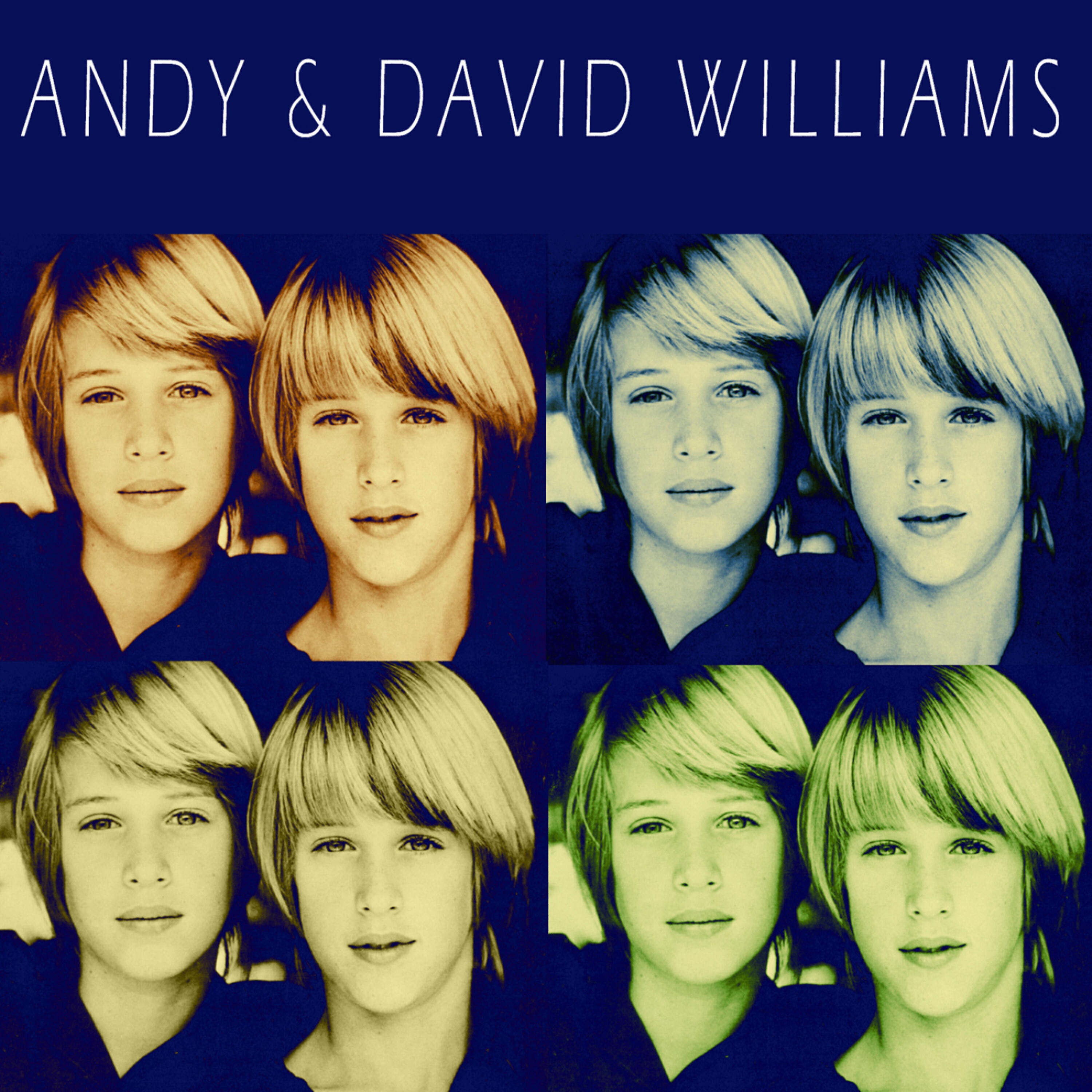Релиз Andy & David Williams
