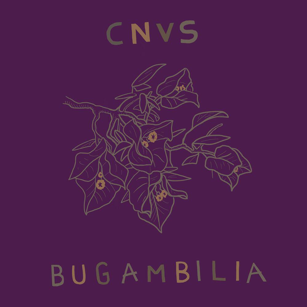 Релиз Bugambilia