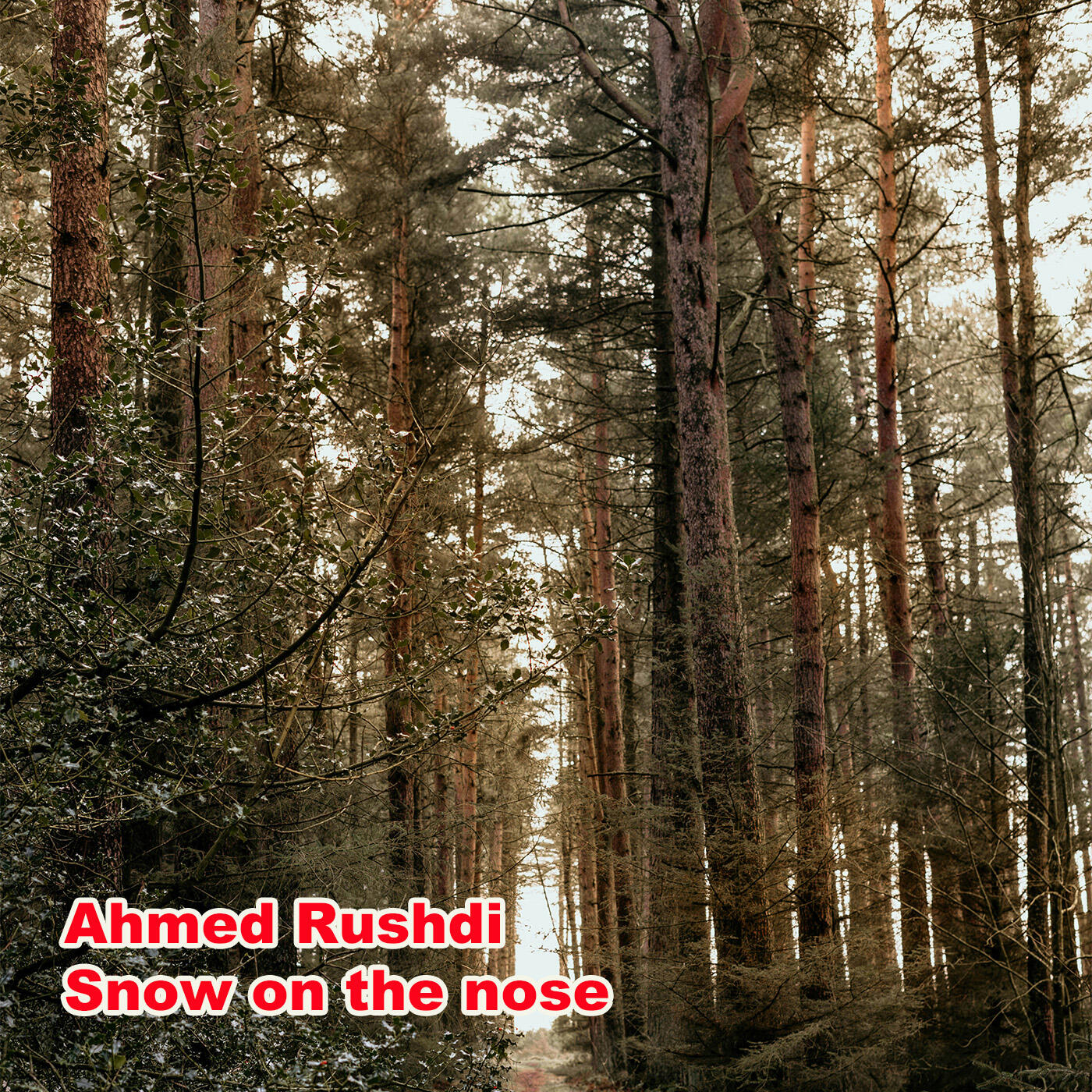 Релиз Snow on the nose