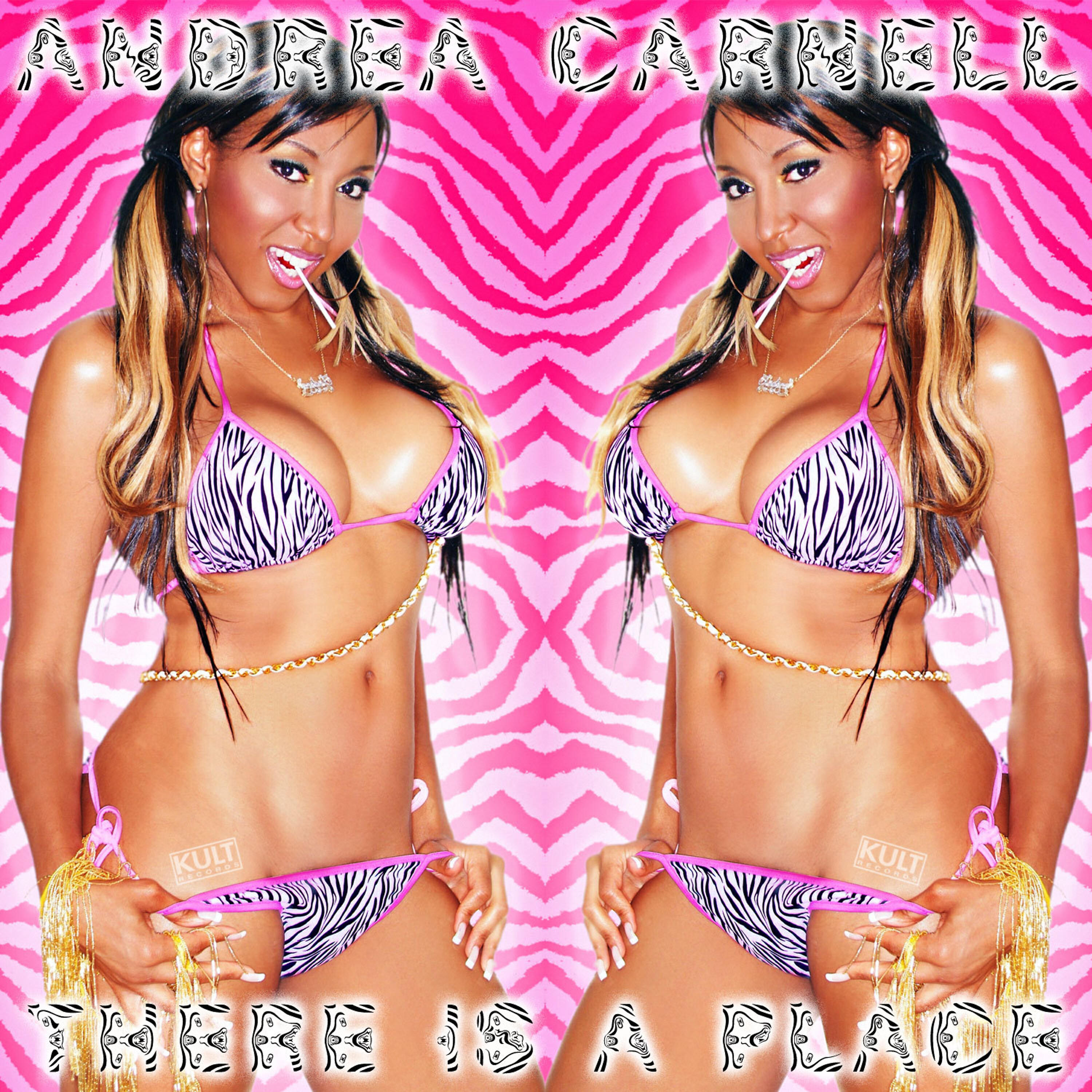 Релиз KULT Records Presents : There Is a Place