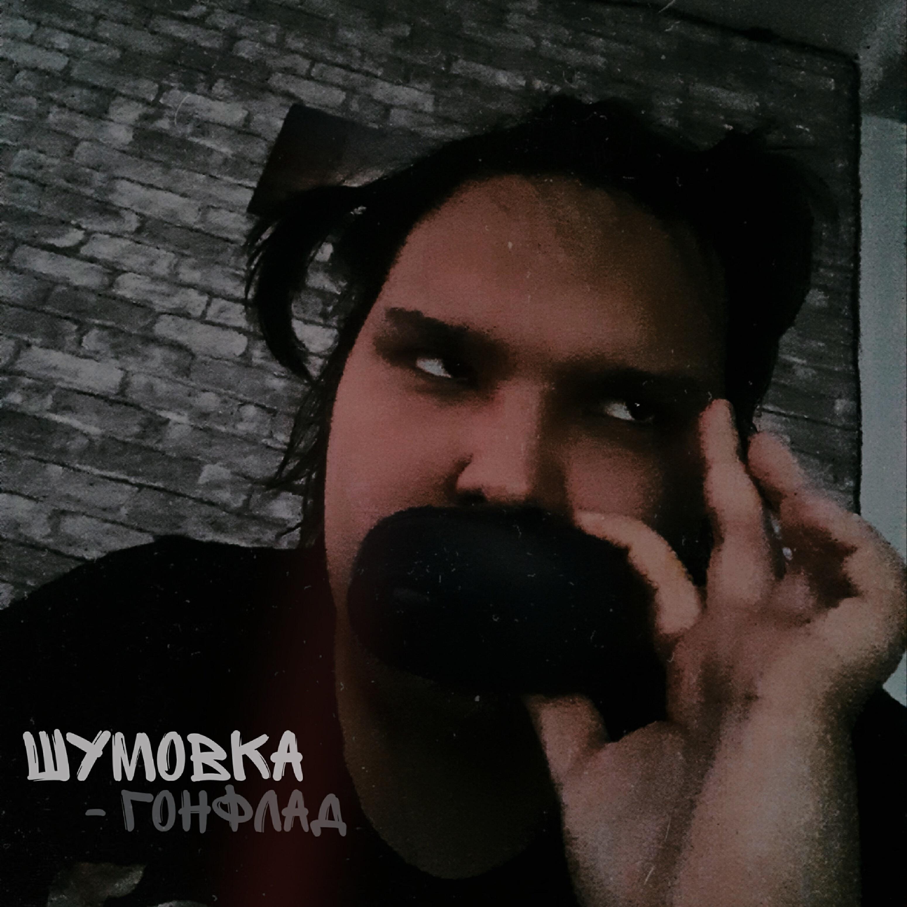 шумовка