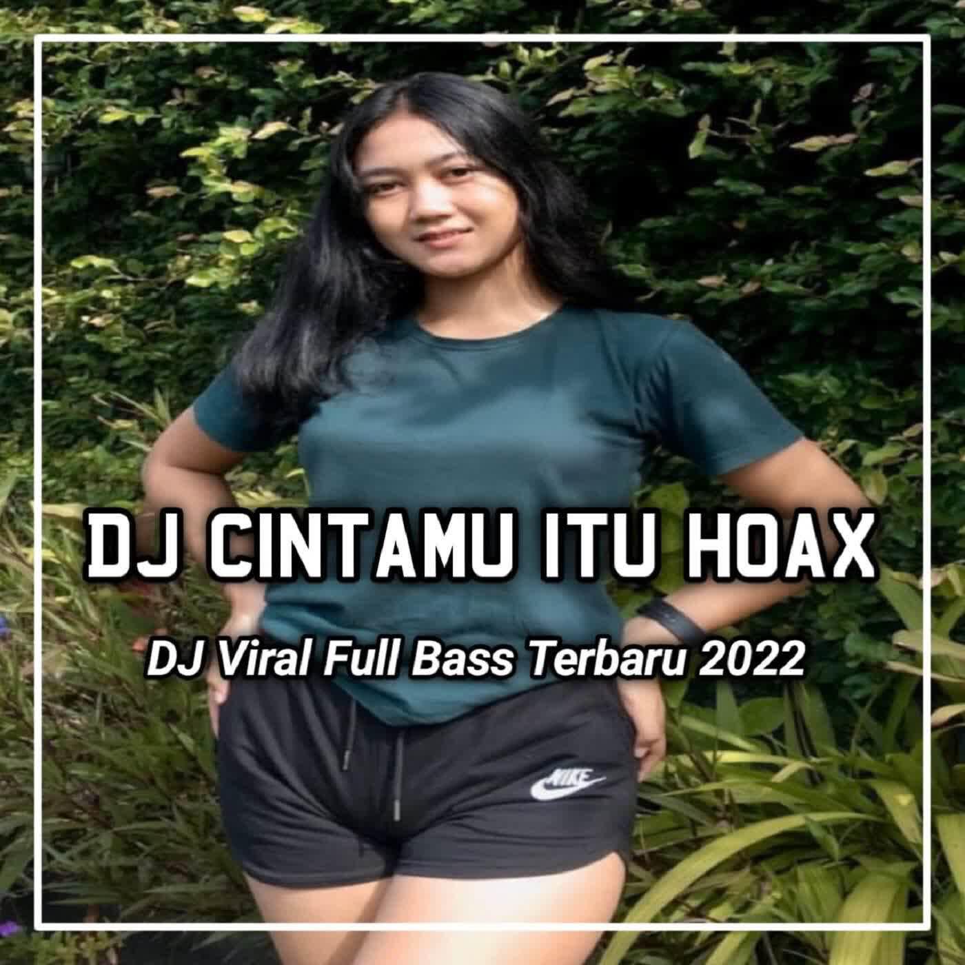 Релиз DJ Cintamu Apa x Cintamu Itu Hoax Sayangmu Itu Hoax - Inst