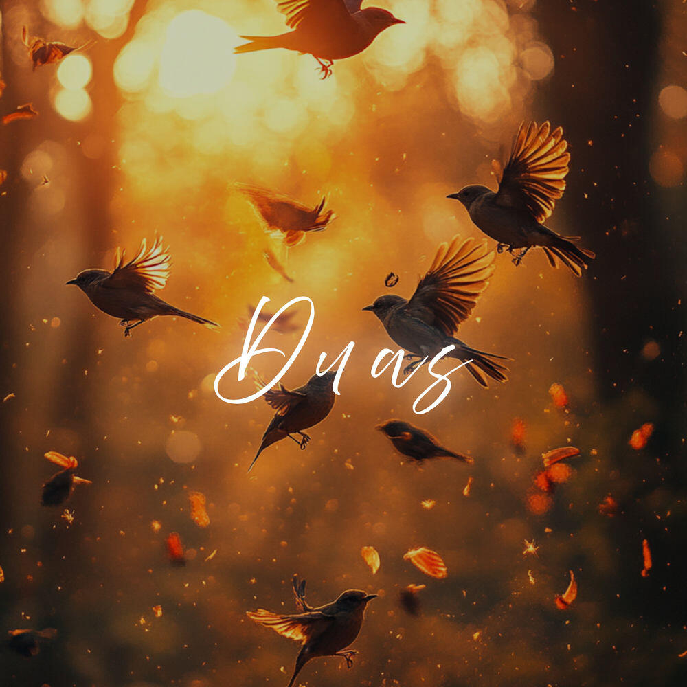 Релиз Duas
