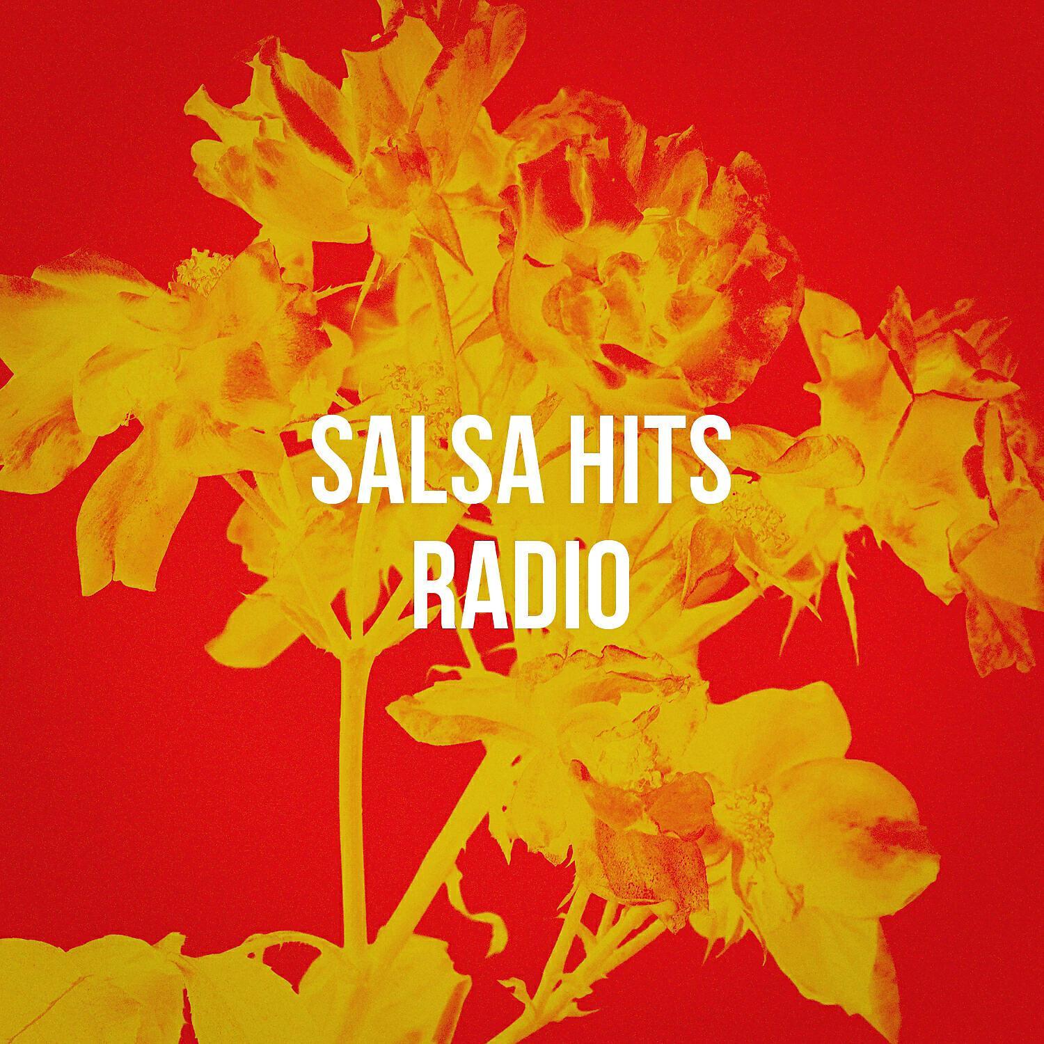 Salsa Latin 100%