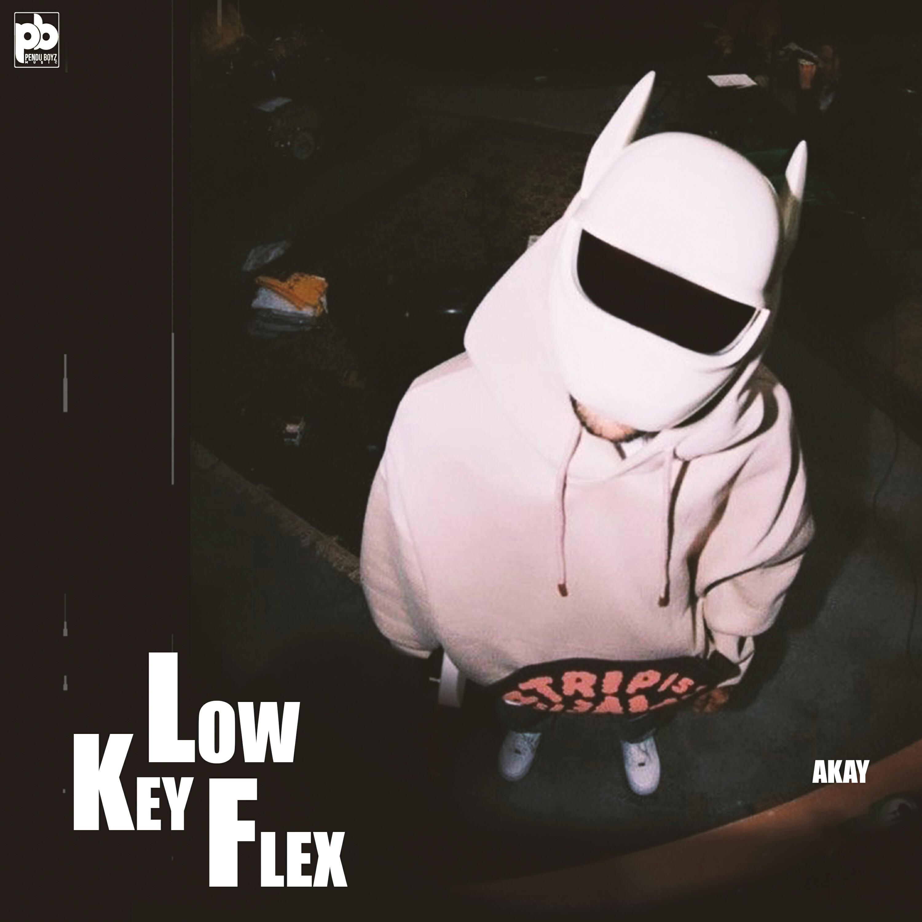 Релиз Lowkey Flex