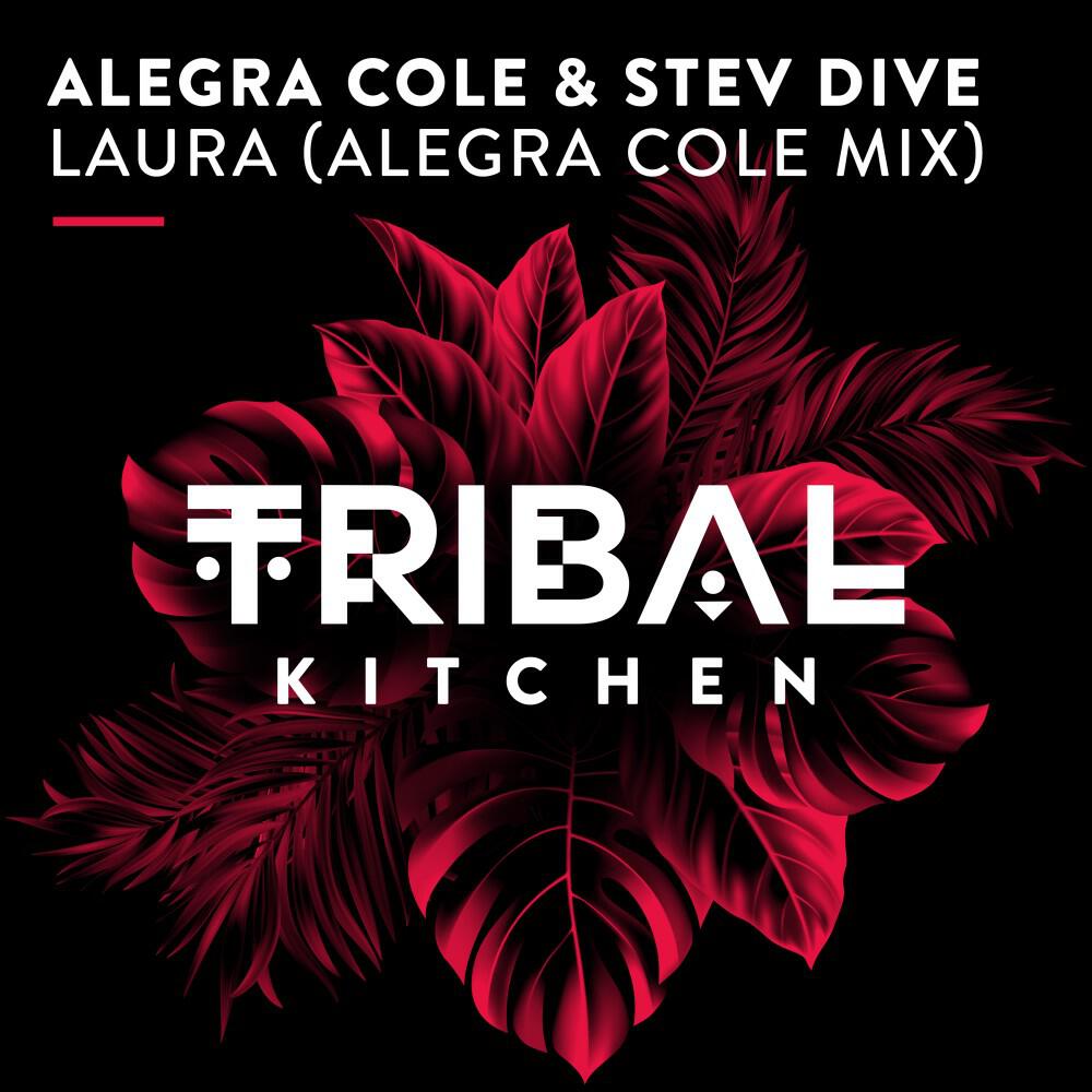 Релиз Laura (Alegra Cole Mix)