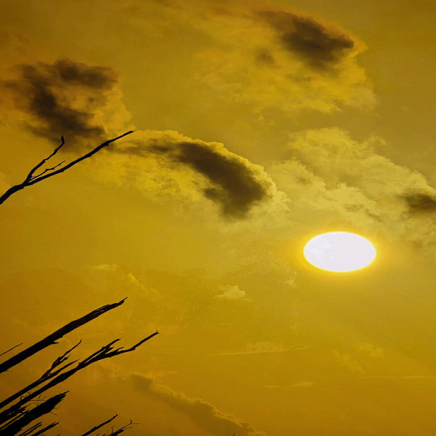 Релиз Zoozo Djokoto