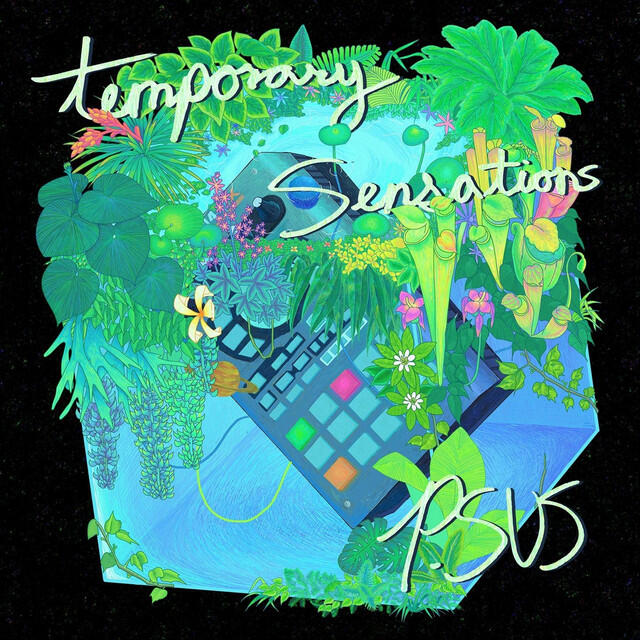 Релиз Temporary Sensations