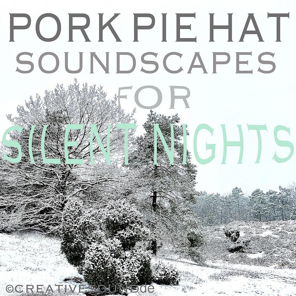 Релиз Soundscapes for Silent Nights