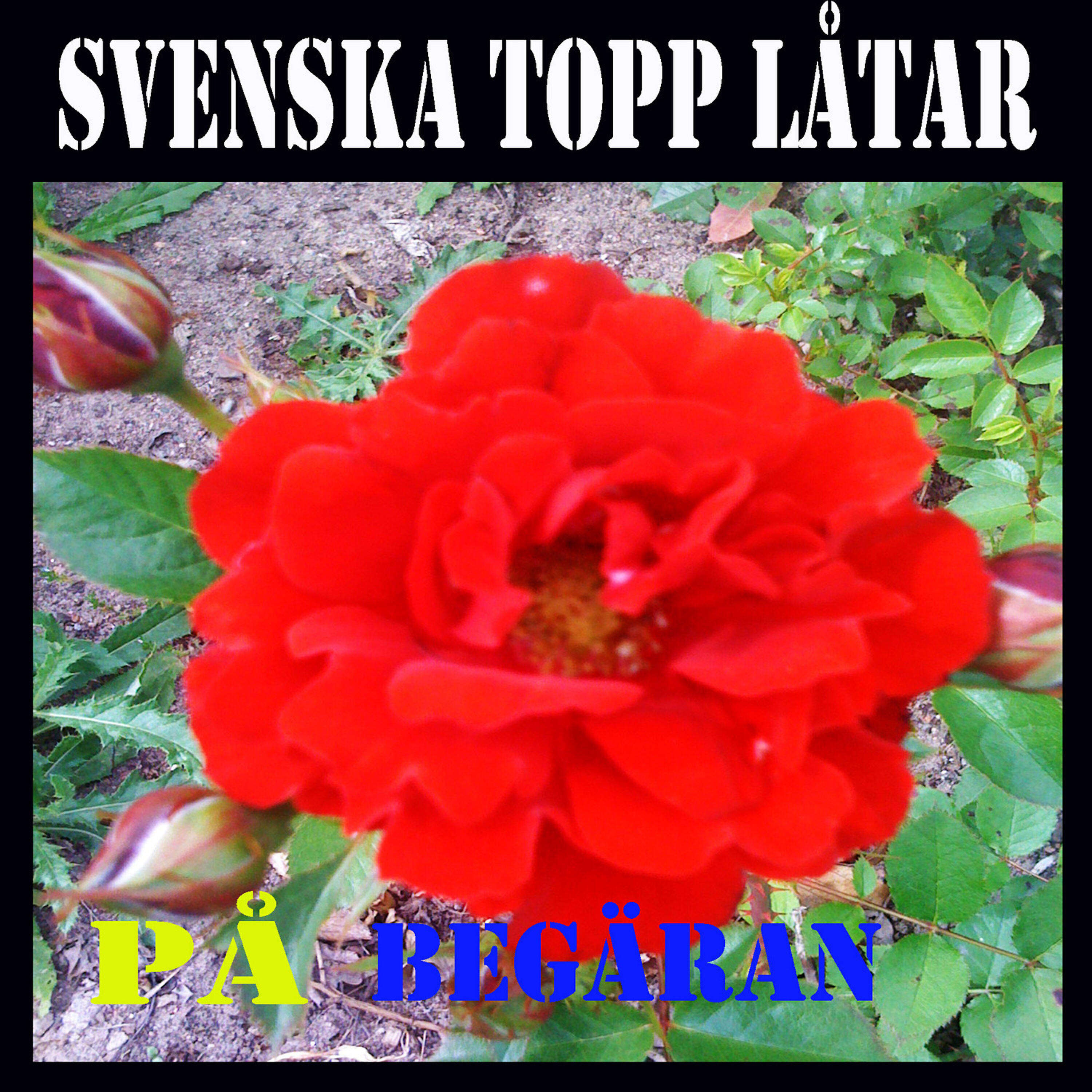 Постер альбома Svenska Topp Låtar På Begäran
