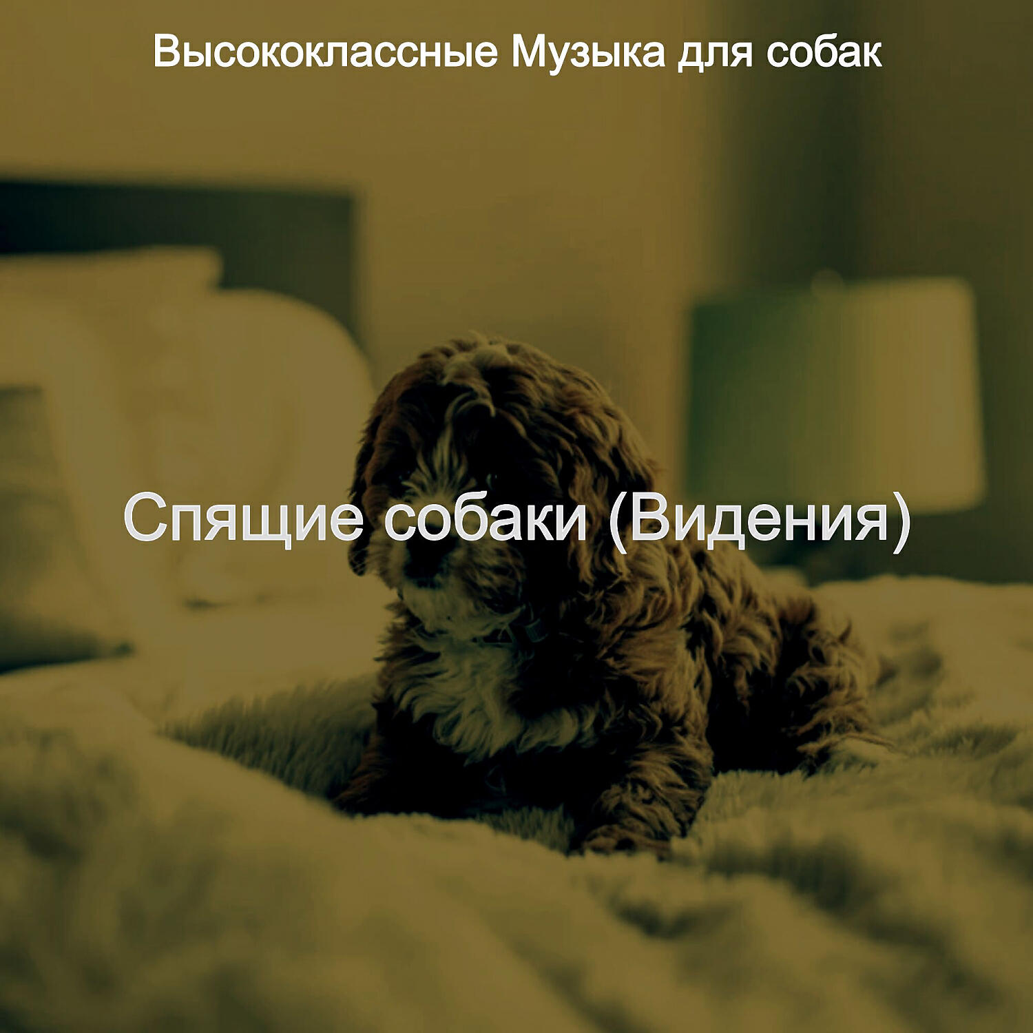 Релиз Спящие собаки (Видения)