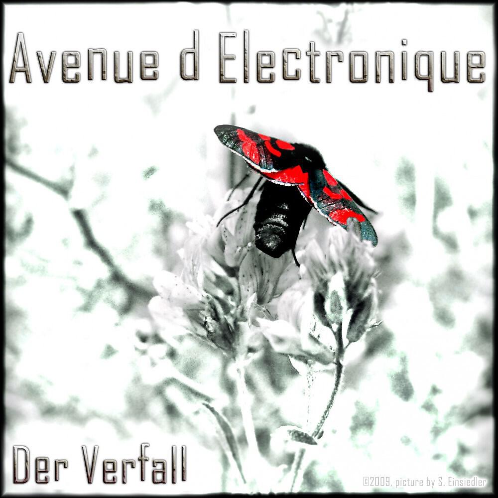 Релиз Der Verfall
