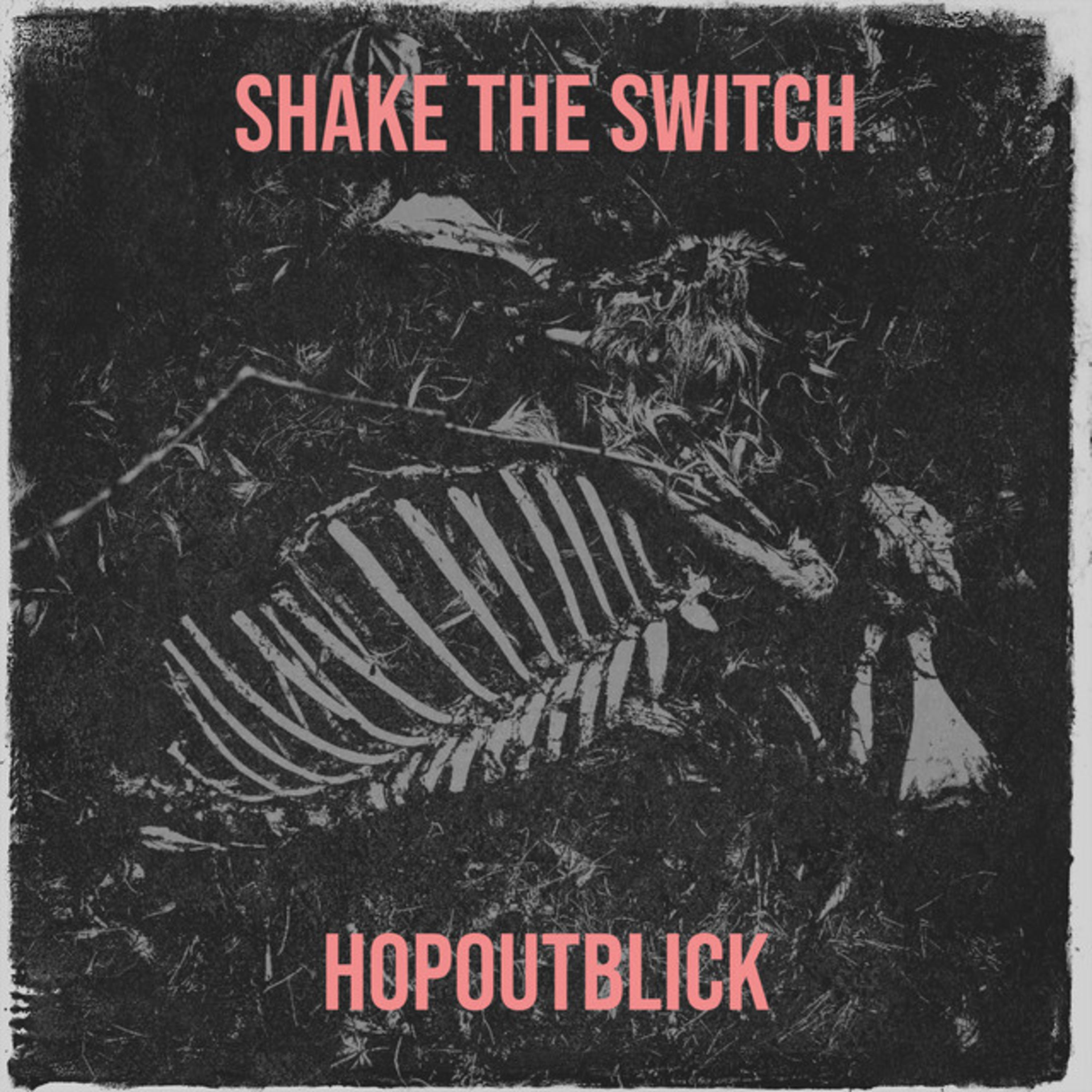 Релиз Shake the Switch