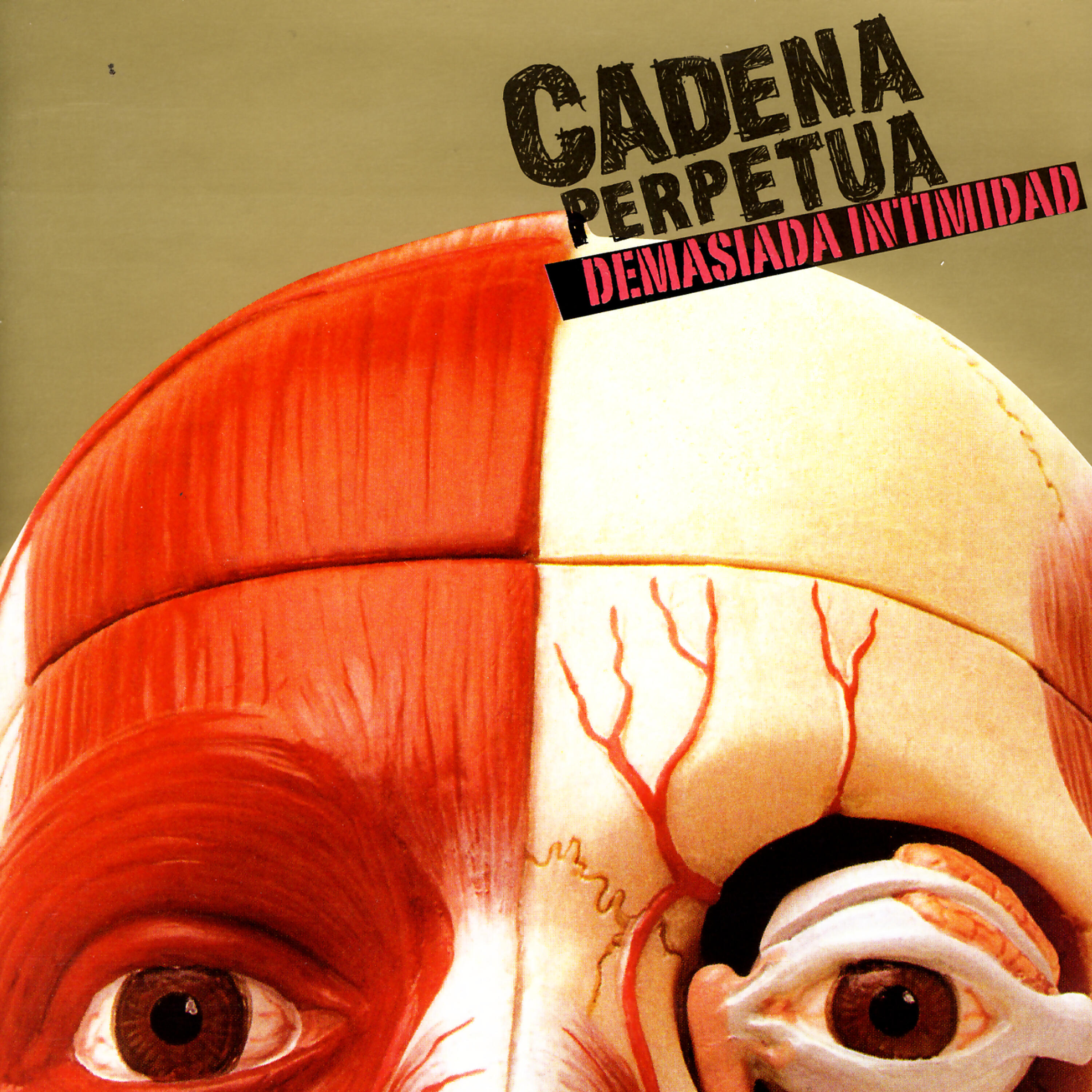 Релиз Demasiada Intimidad